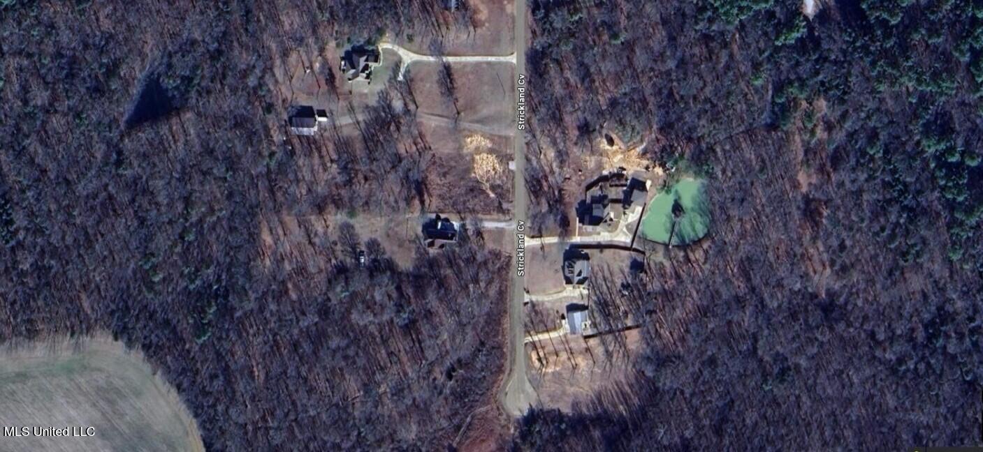 Lot 15 Strickland Farms Property Photo 2