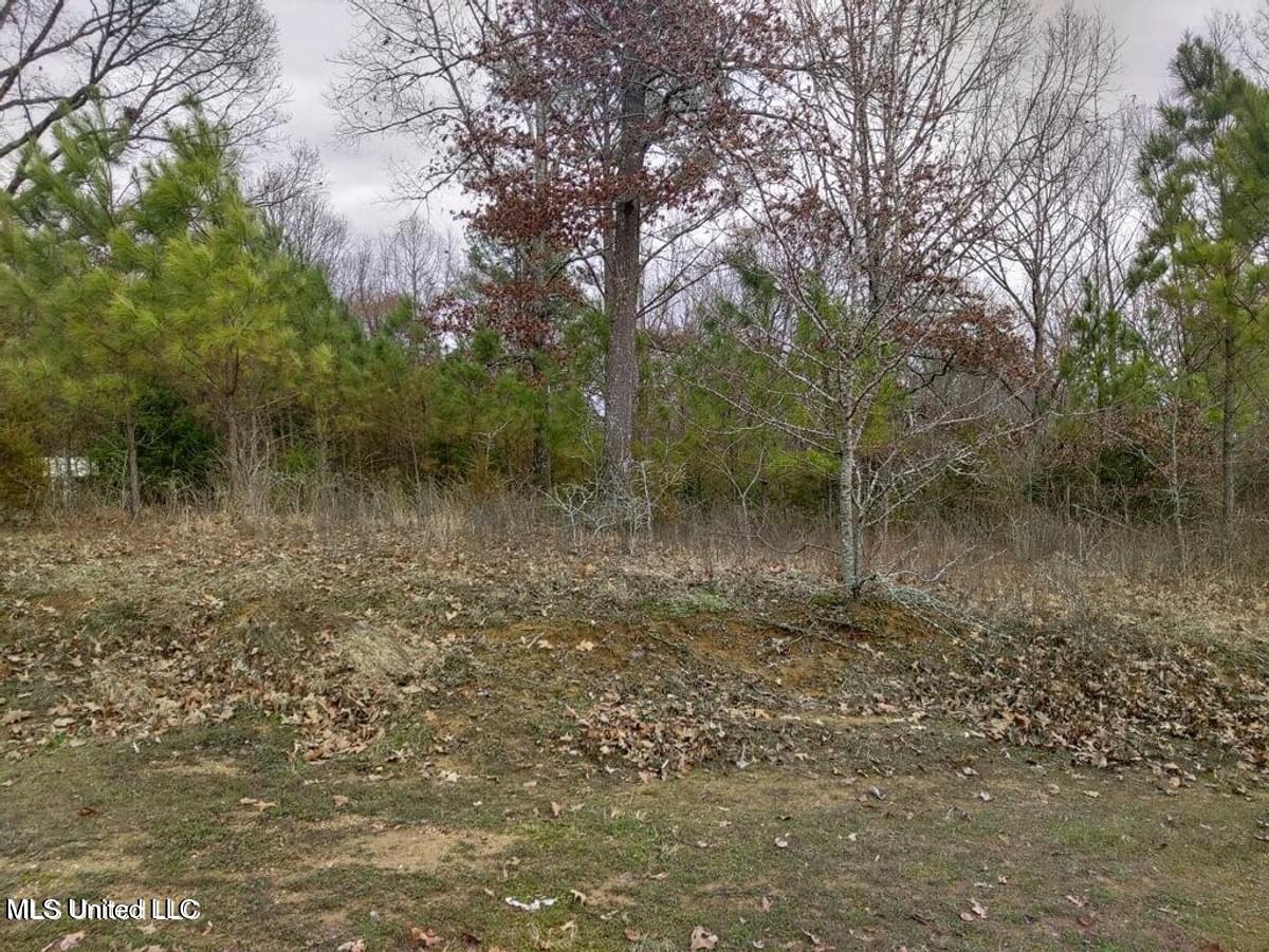 Lot 16 Strickland Farms Property Photo 1