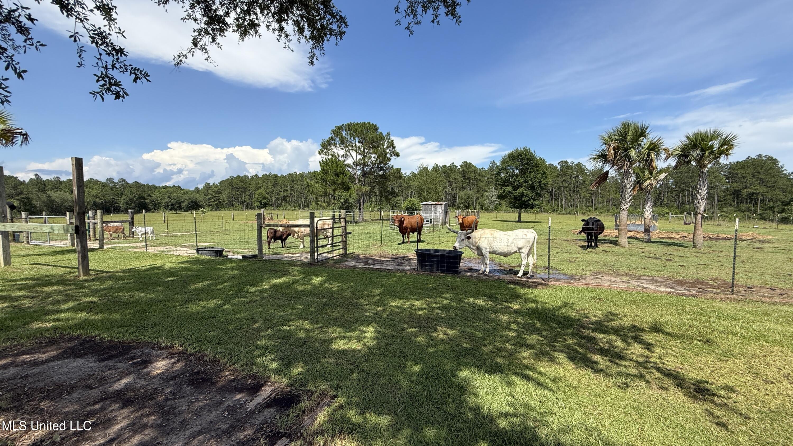 28193 J P Ladner Road Property Photo 23