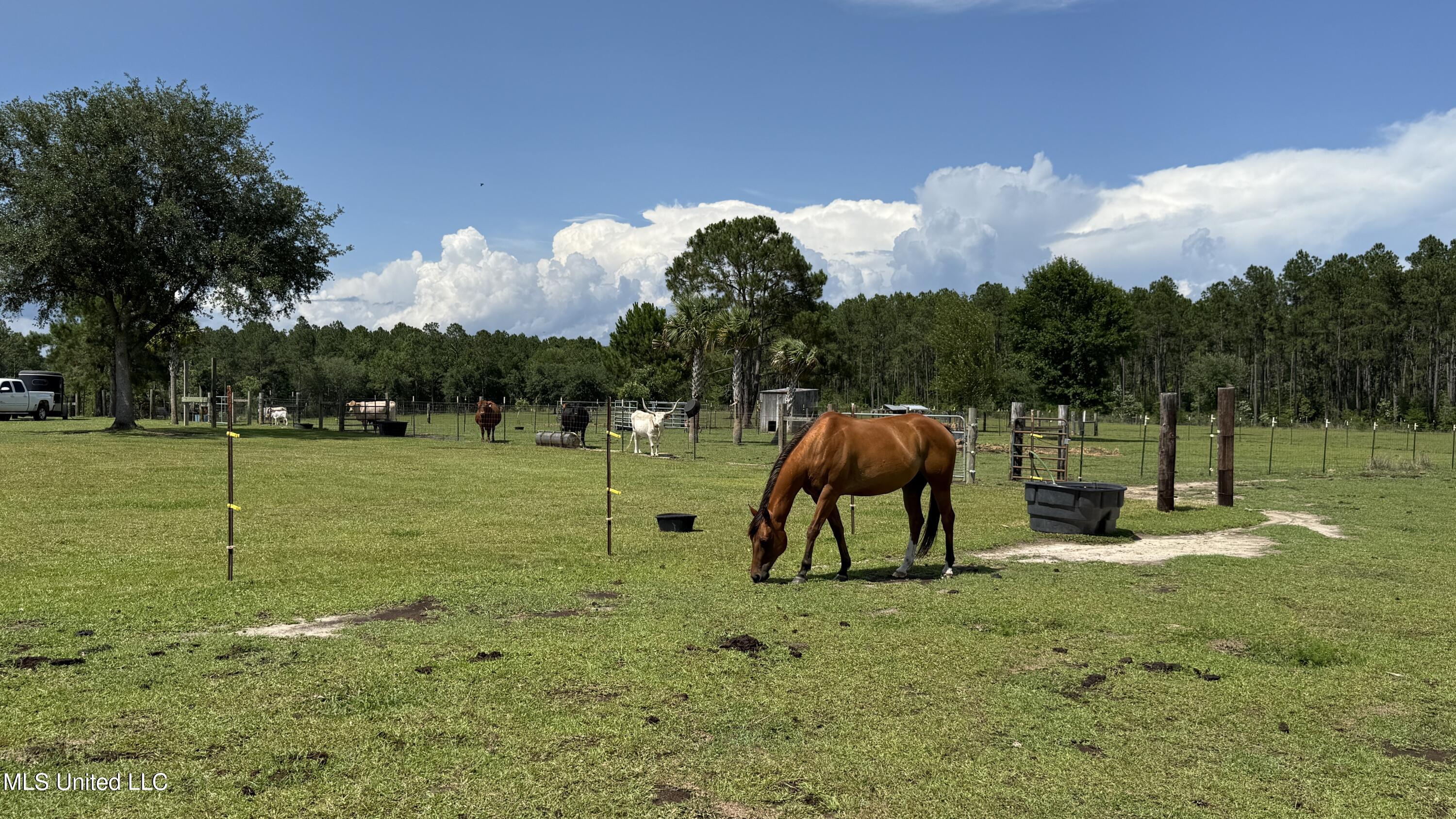 28193 J P Ladner Road Property Photo 24