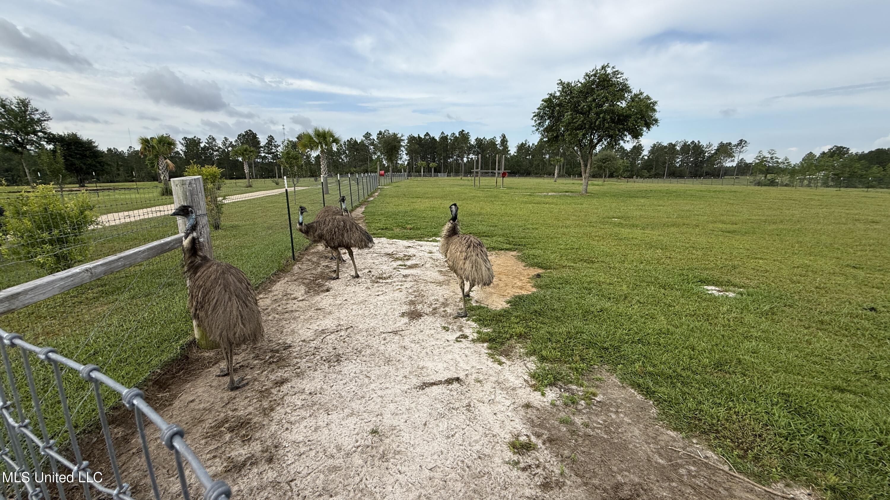 28193 J P Ladner Road Property Photo 25