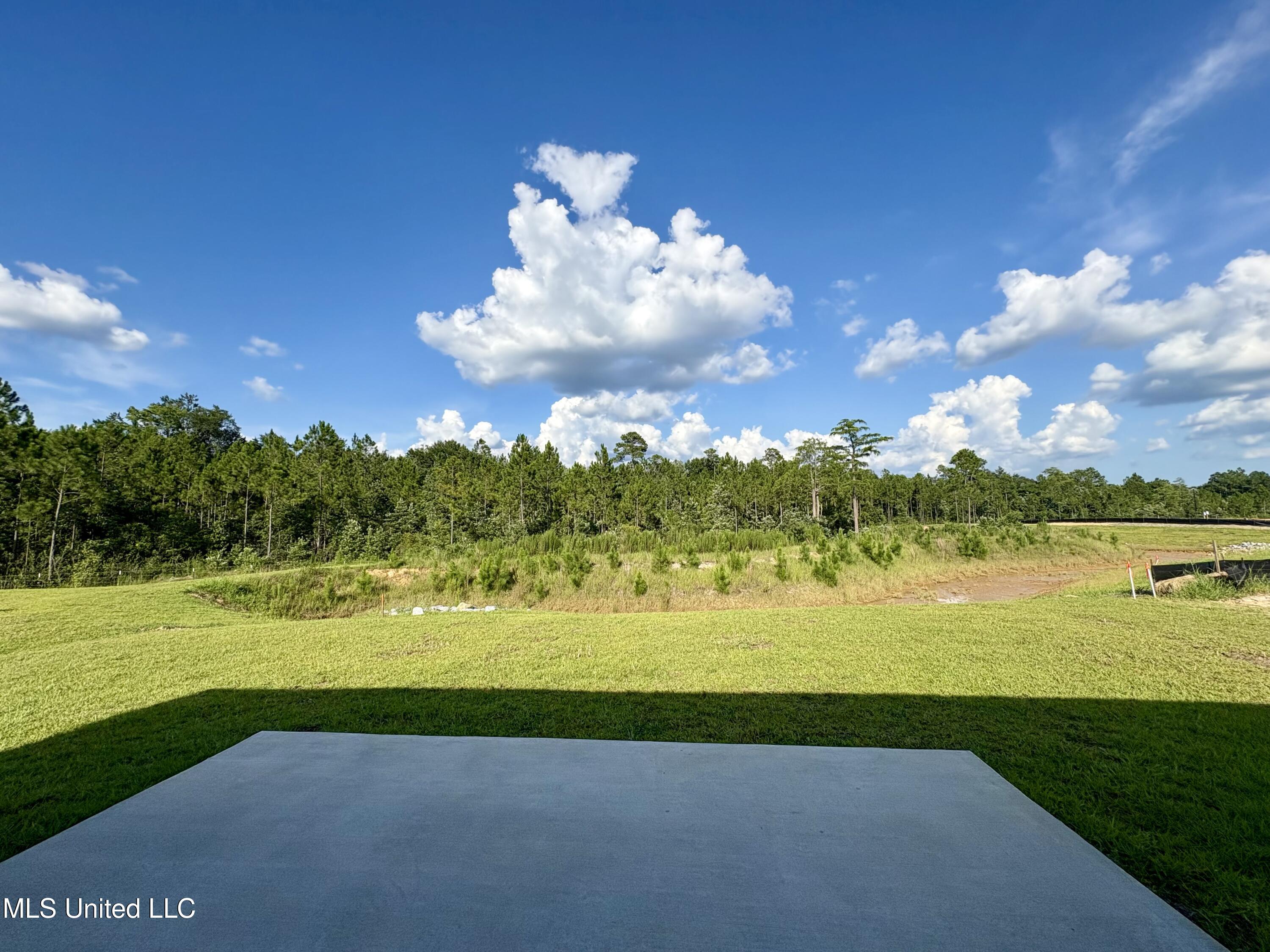 18060 Tiffany Renee Drive Property Photo 31