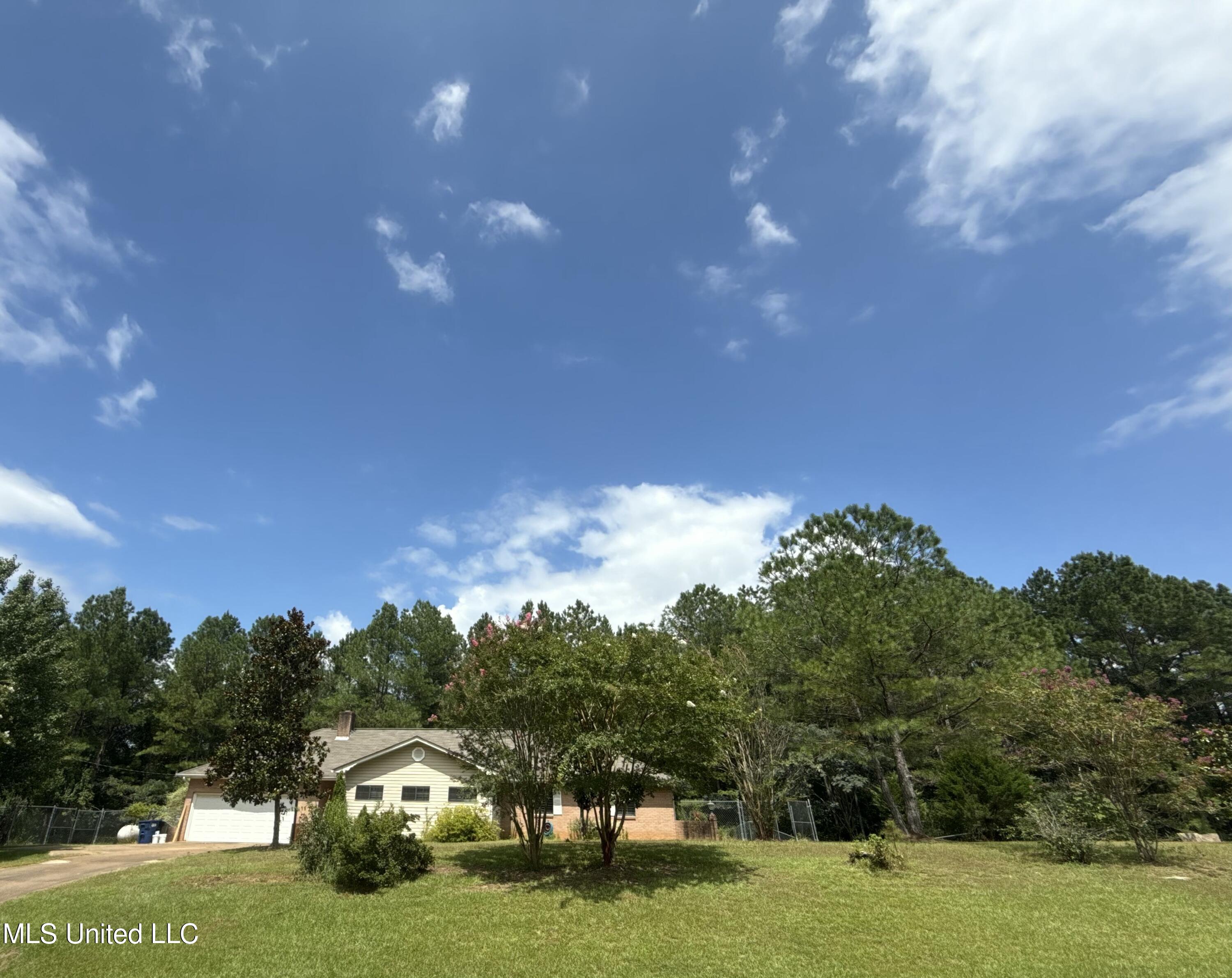 12 Minerva Road Property Photo 2