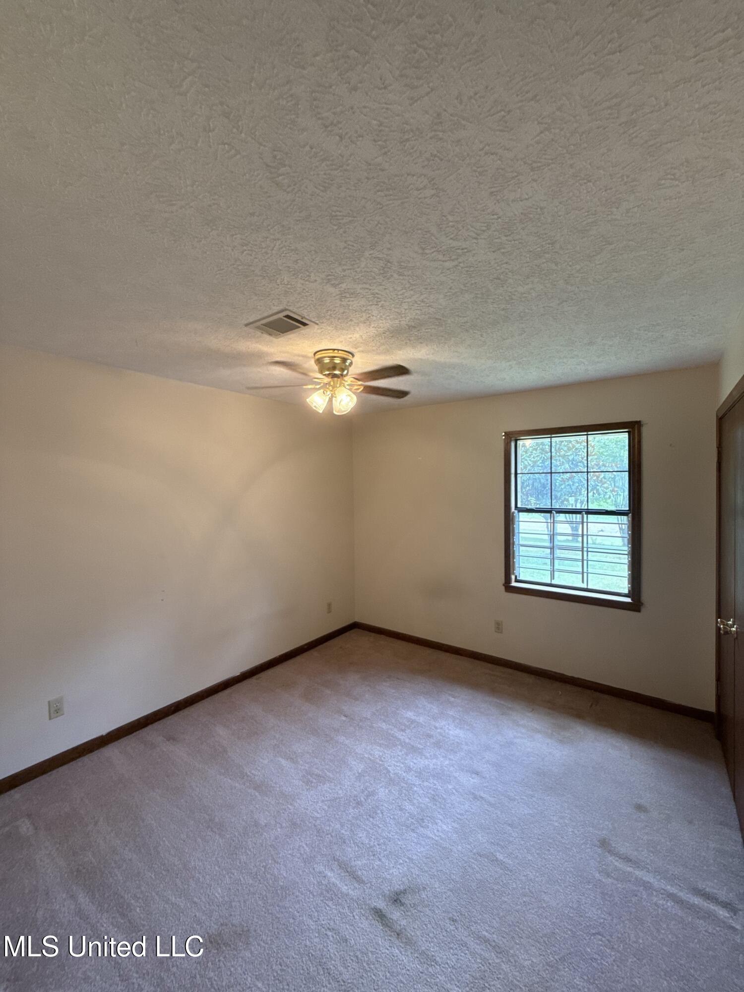 12 Minerva Road Property Photo 19