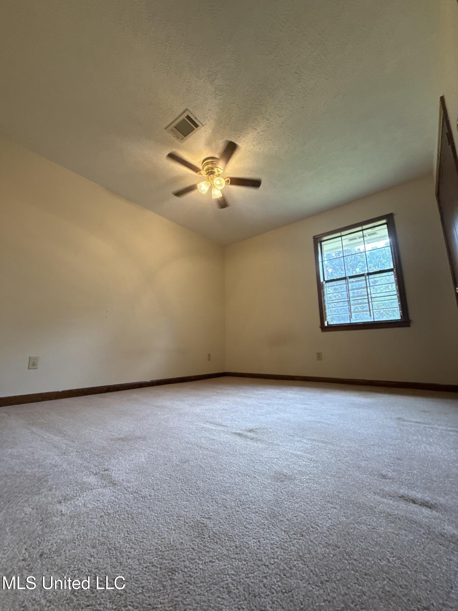 12 Minerva Road Property Photo 20