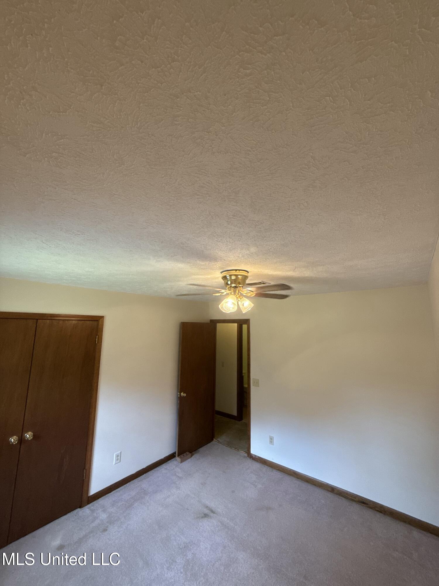 12 Minerva Road Property Photo 21