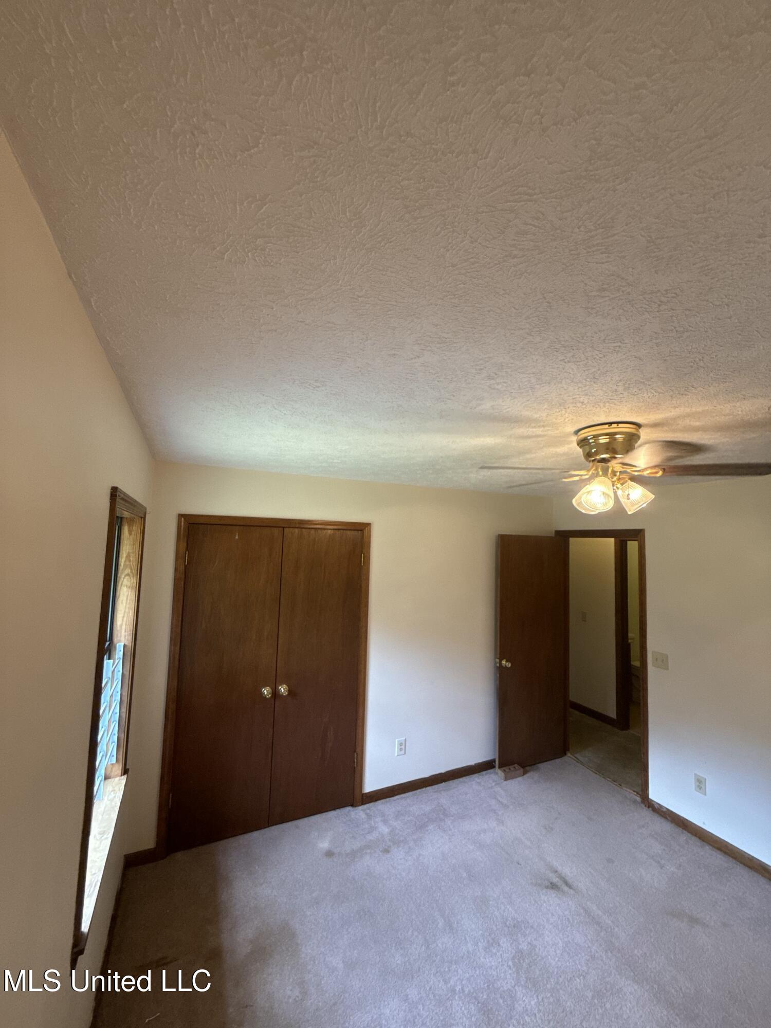 12 Minerva Road Property Photo 22