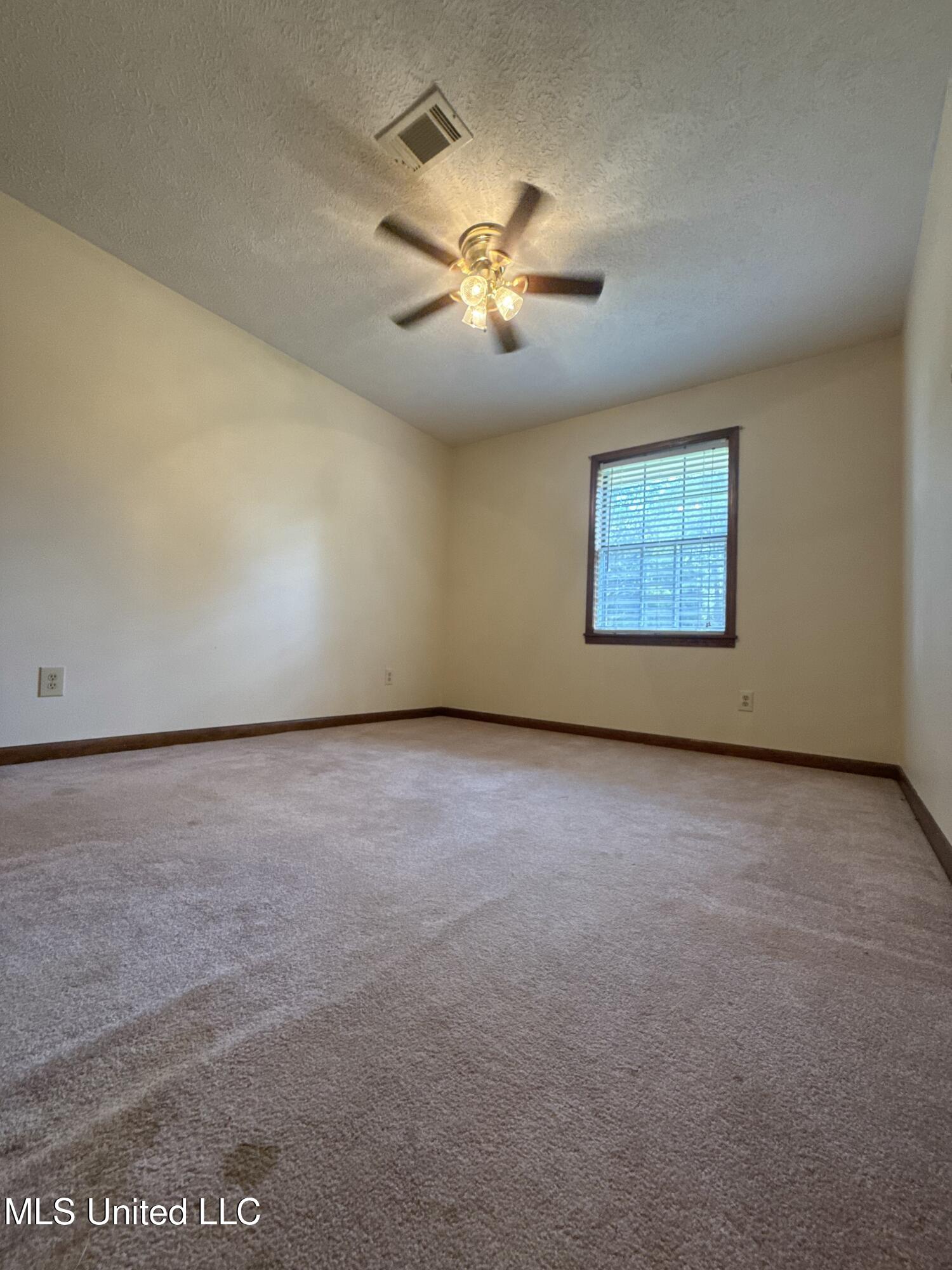 12 Minerva Road Property Photo 24