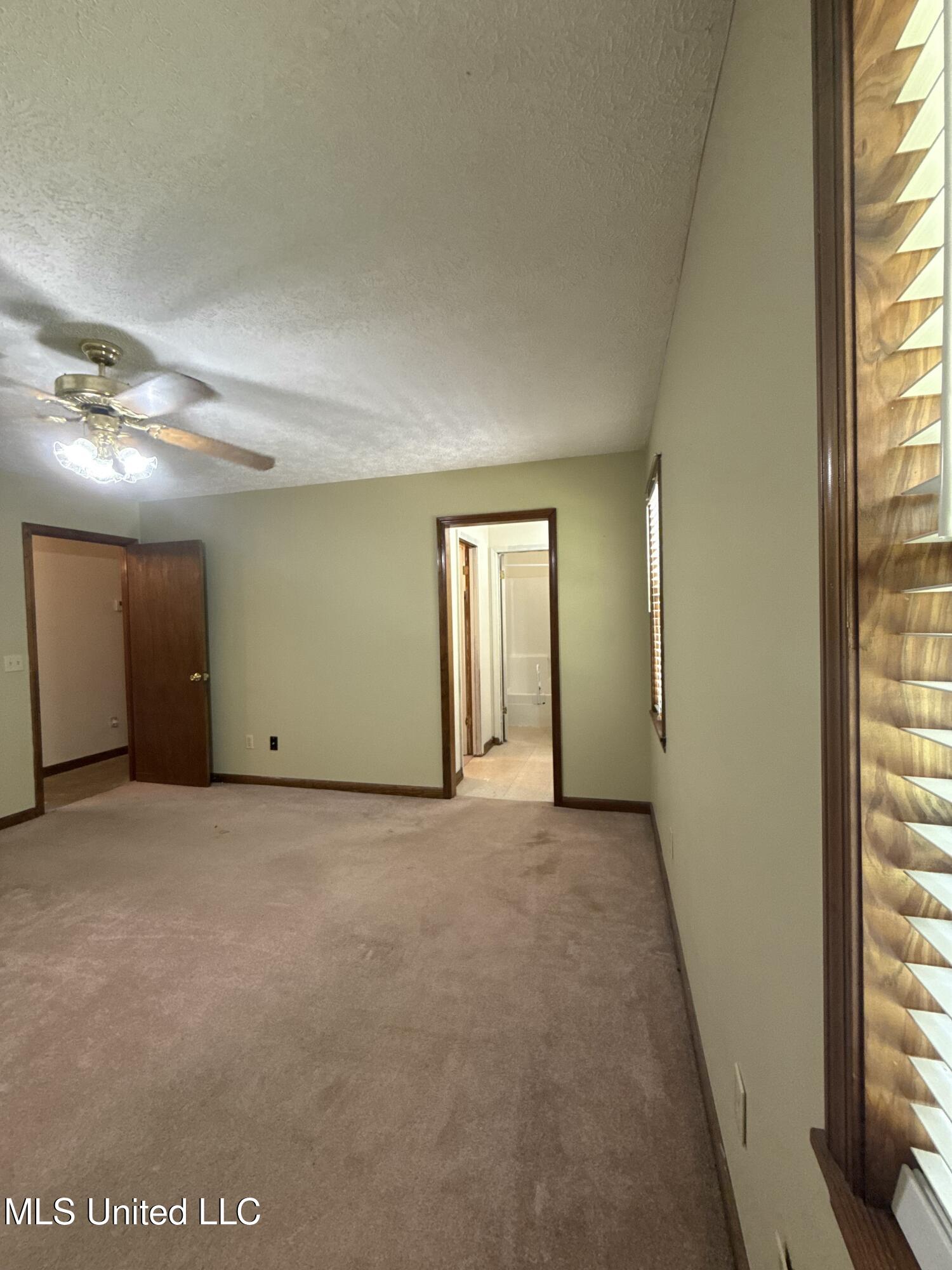 12 Minerva Road Property Photo 32