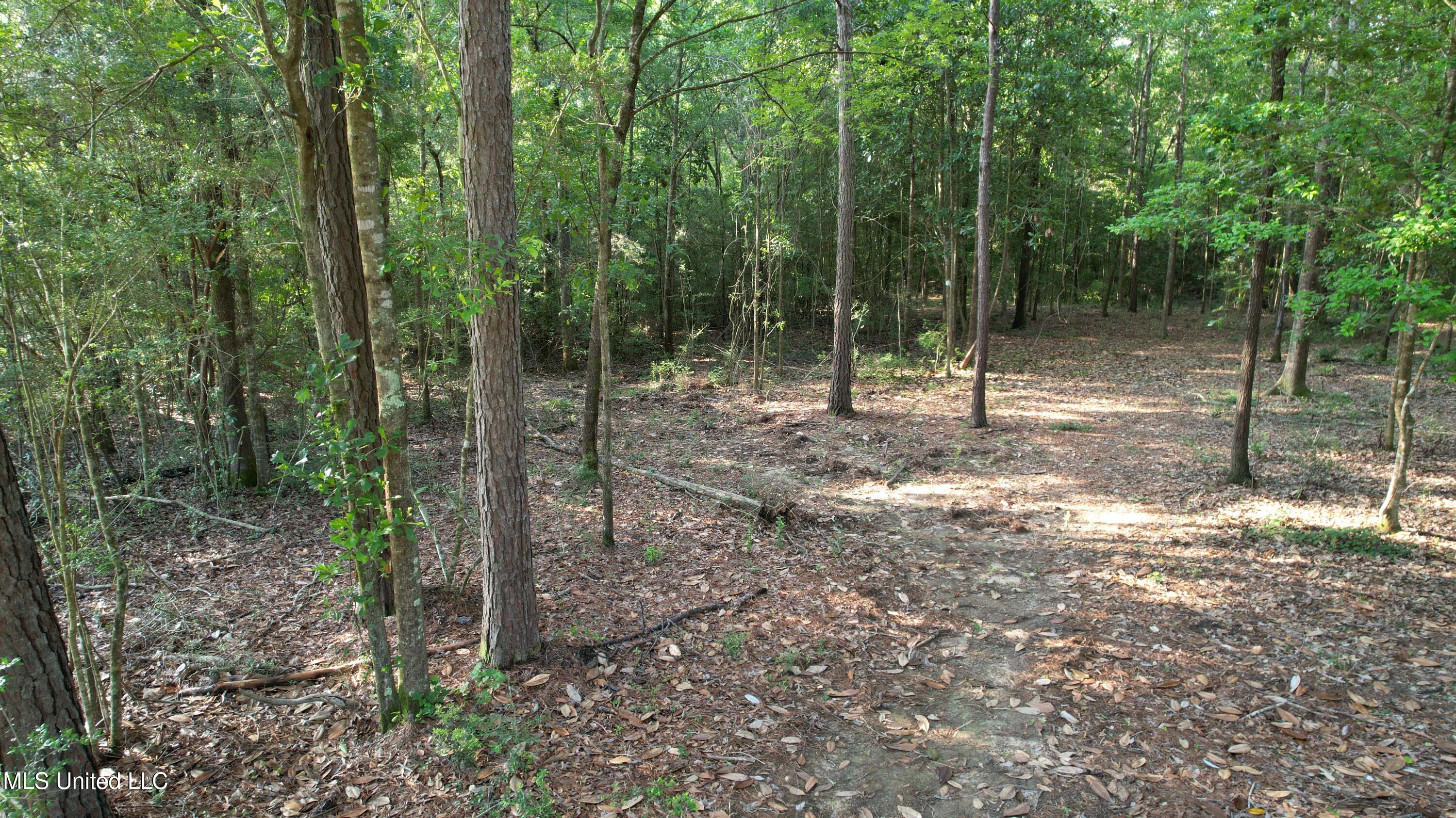 0 W Montcliff Drive Property Photo 4