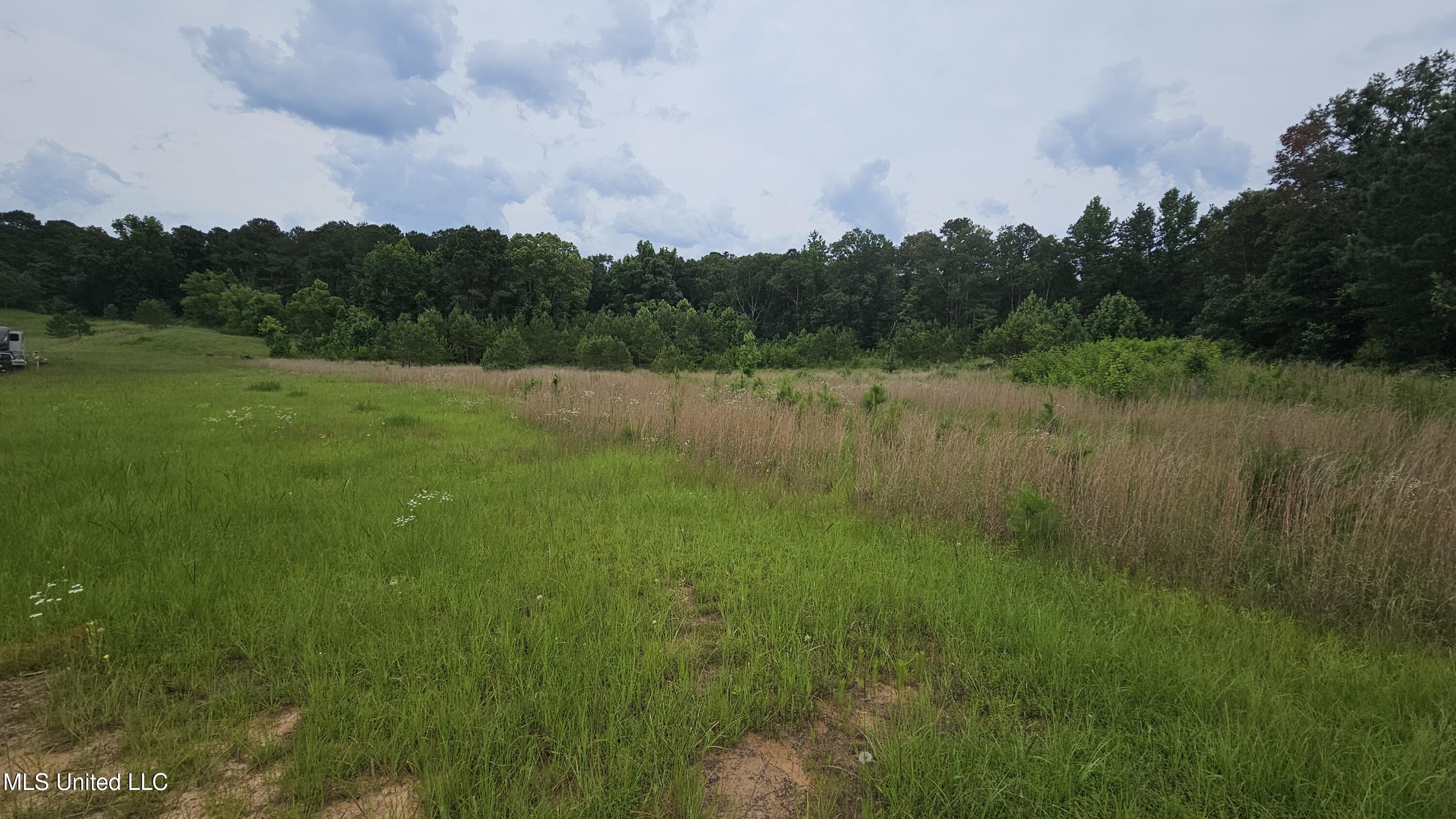 0 N Hwy 43 Property Photo 2