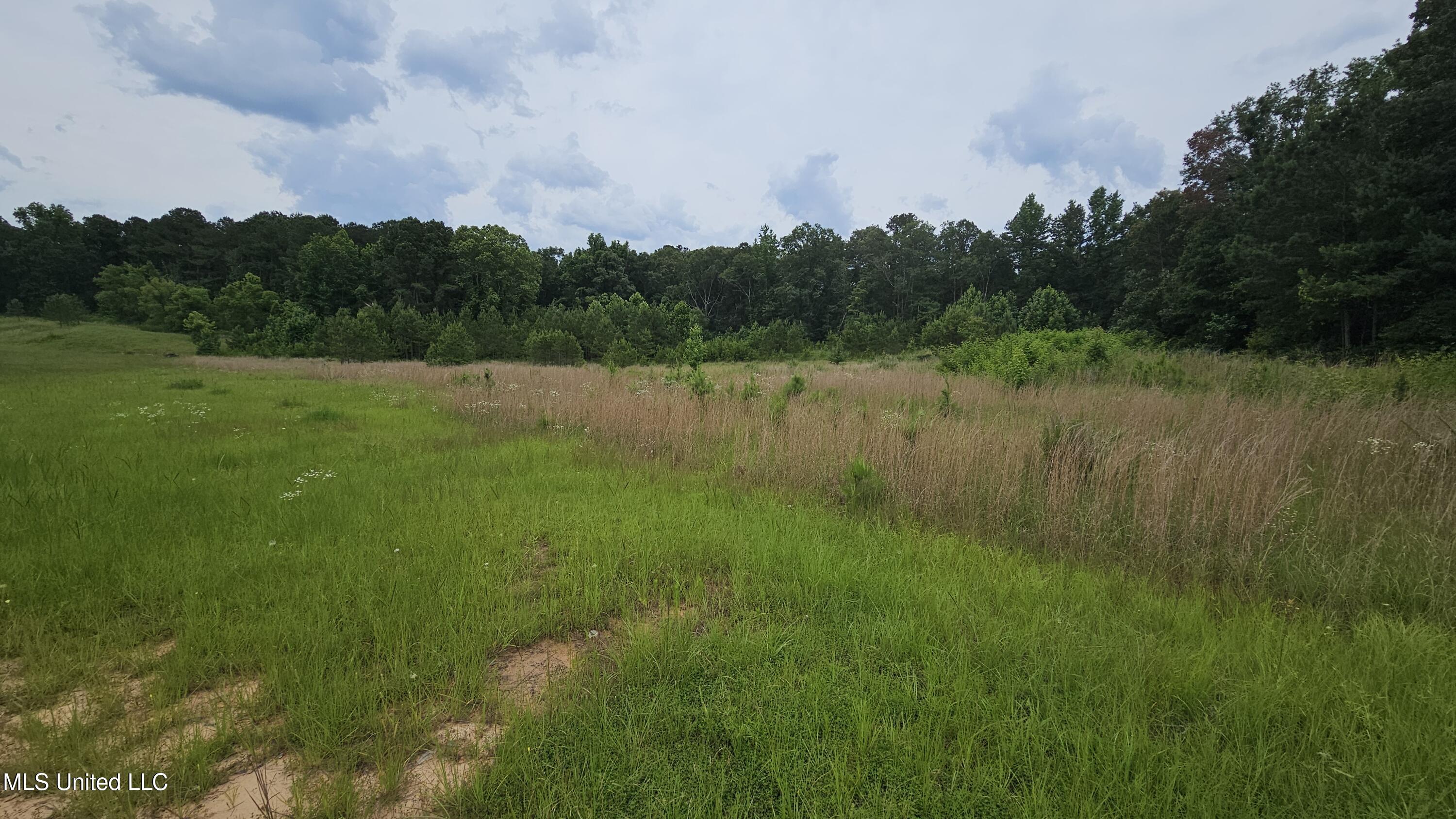 0 N Hwy 43 Property Photo 3