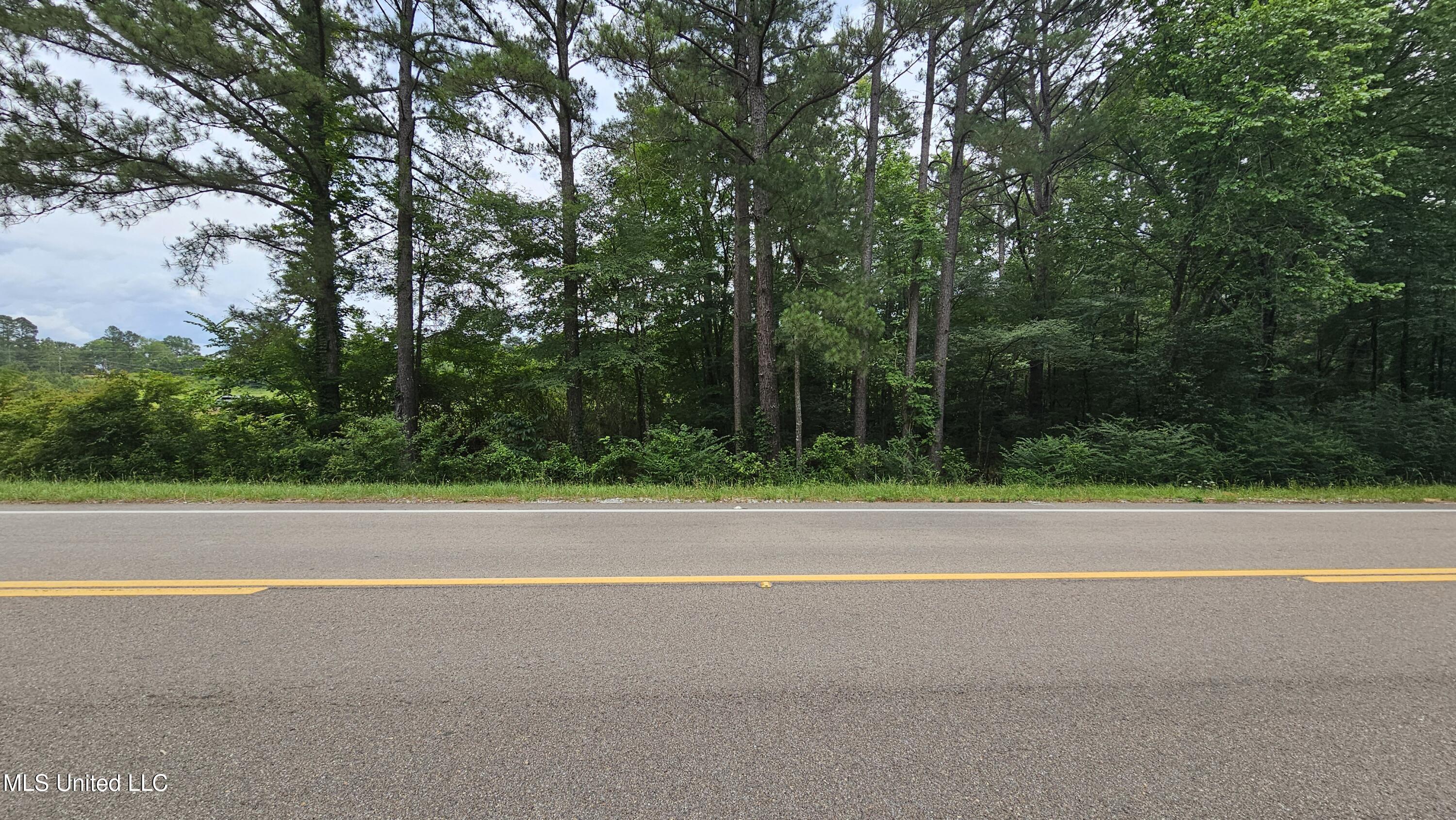 0 N Hwy 43 Property Photo 4