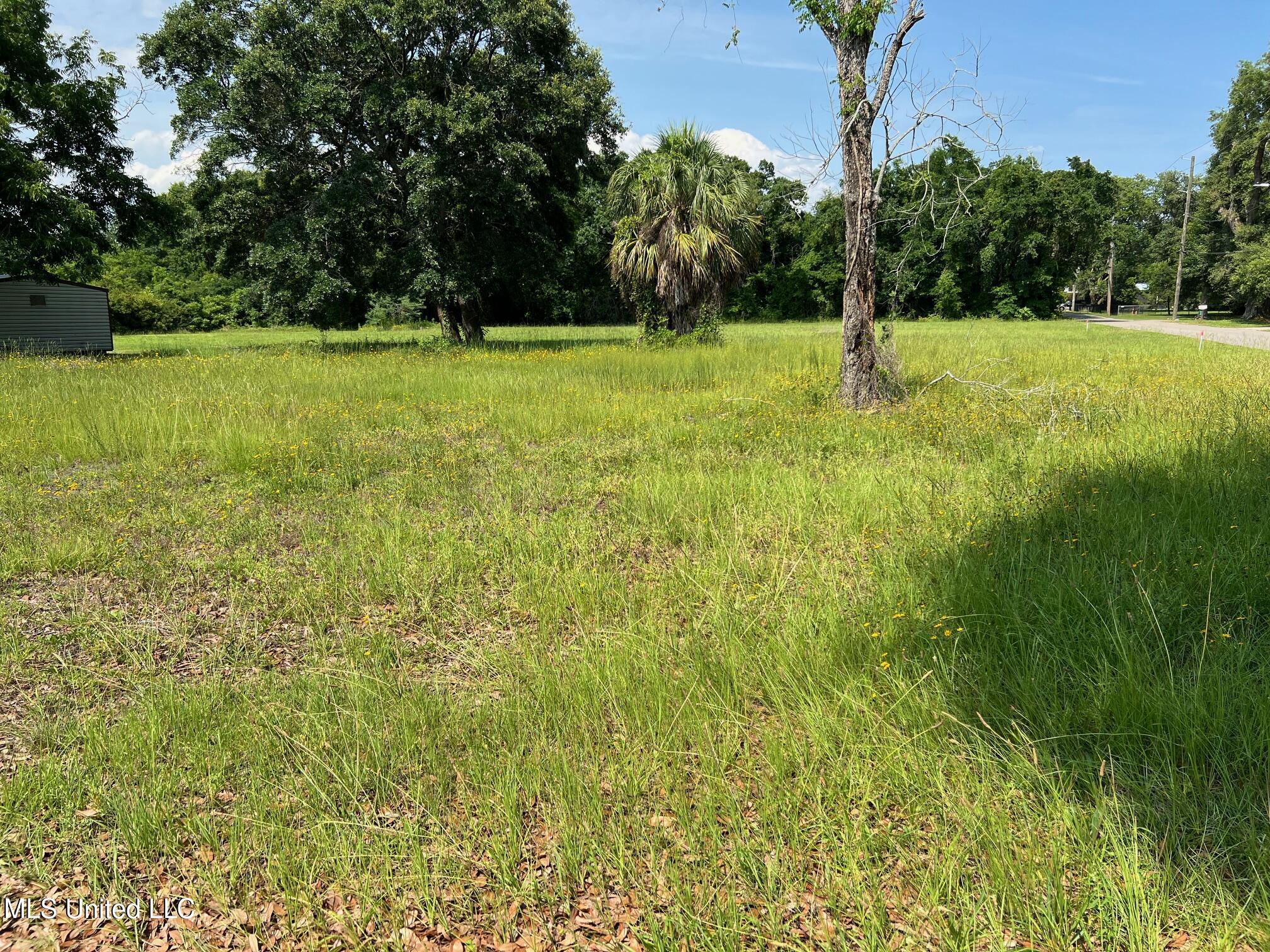 200 Magnolia Avenue Property Photo 1