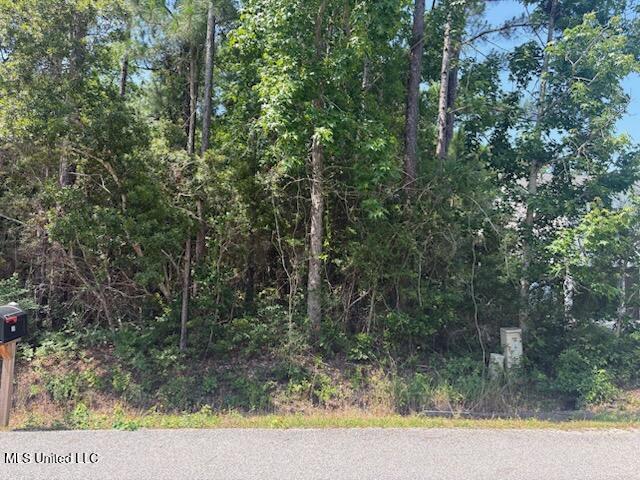 0 Poinsetta Loop Property Photo 1
