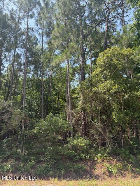 0 Poinsetta Loop Property Photo 2