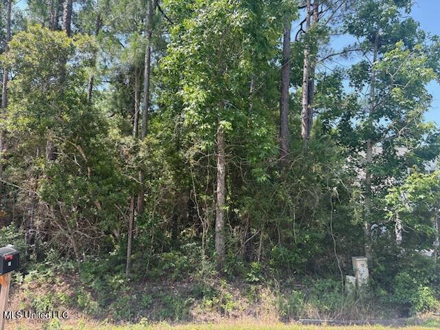 0 Poinsetta Loop Property Photo 3