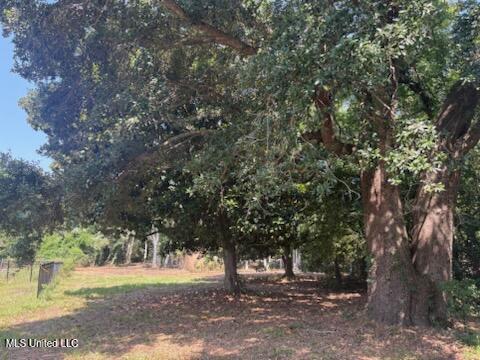 Camelia Drive Property Photo 2