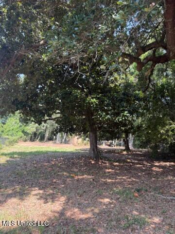 Camelia Drive Property Photo 3