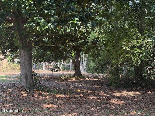 Camelia Drive Property Photo 4