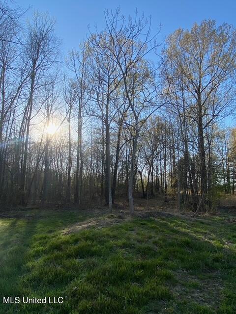 Gaines Road Property Photo 1