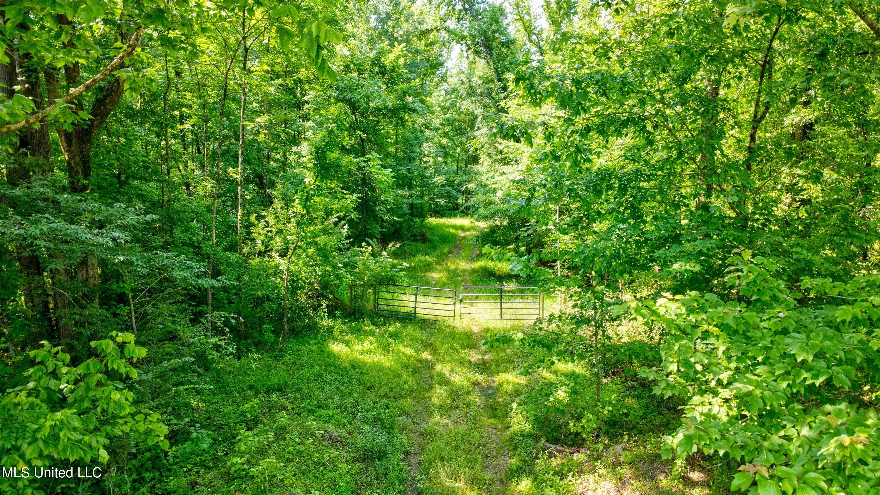 Gaines Road Property Photo 1