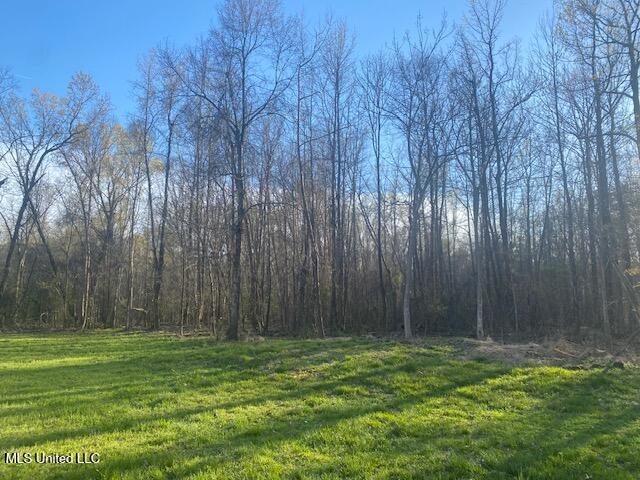 Gaines Road Property Photo 1