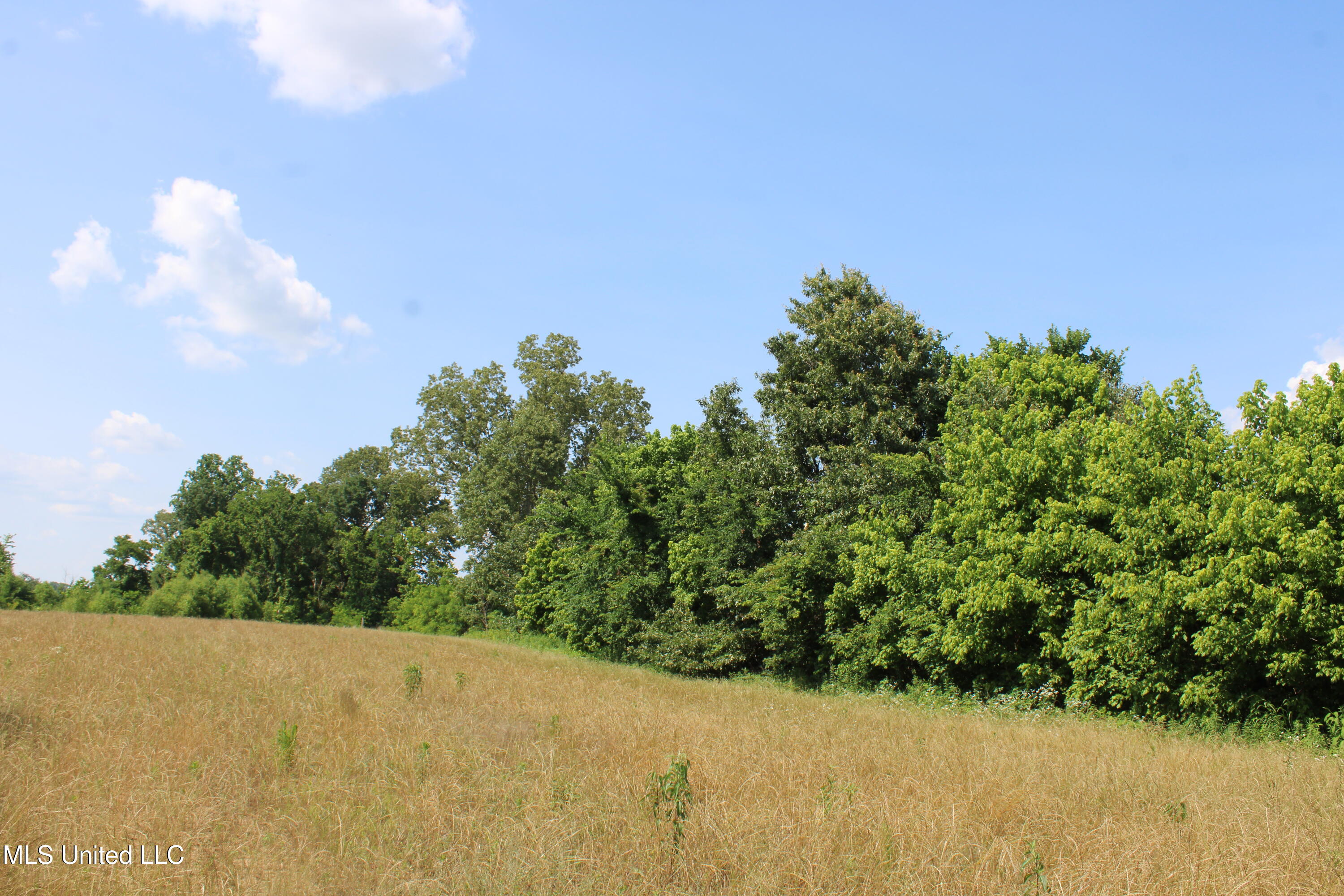 101 Baldwin Road Property Photo 21