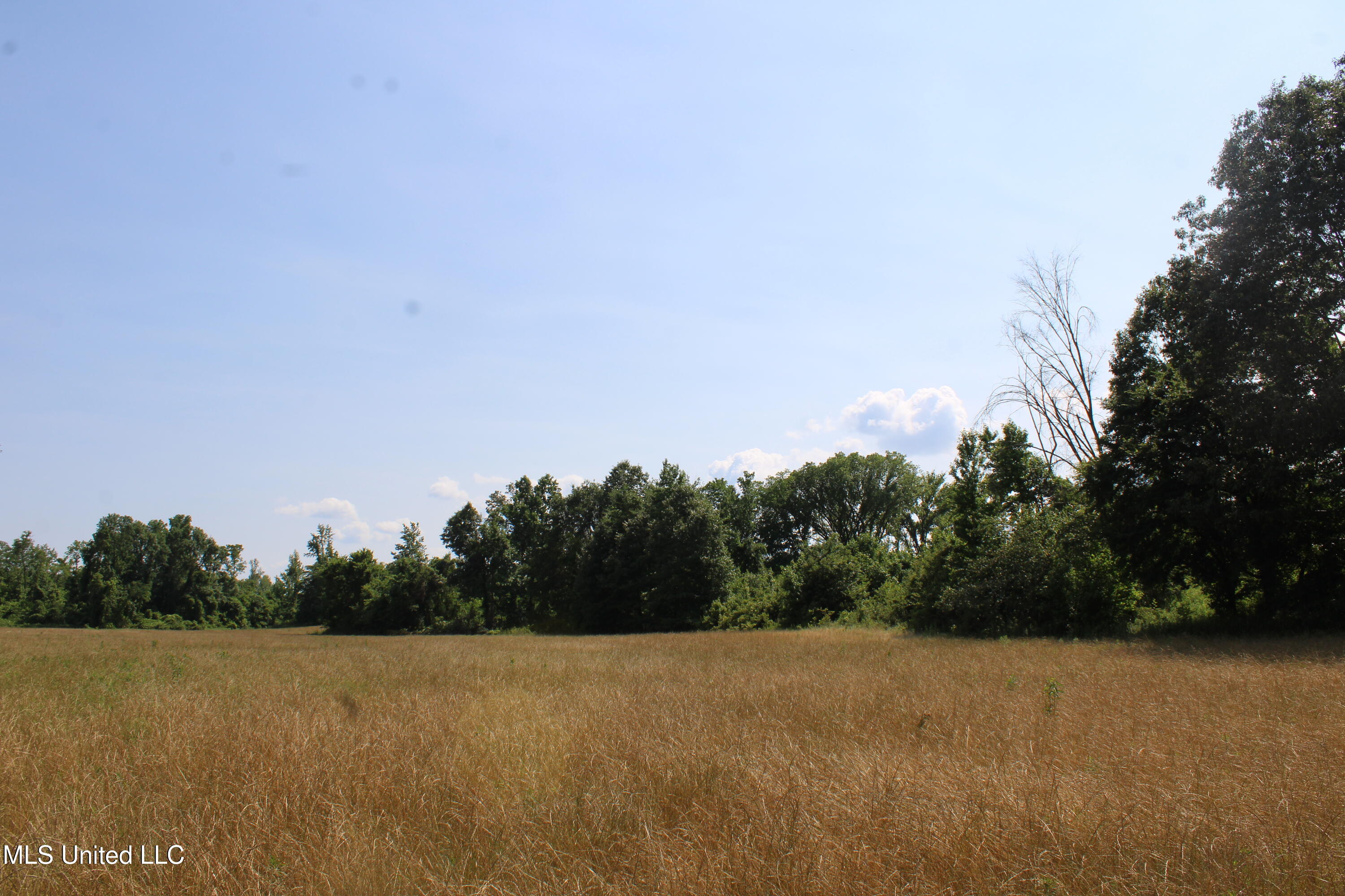 101 Baldwin Road Property Photo 22