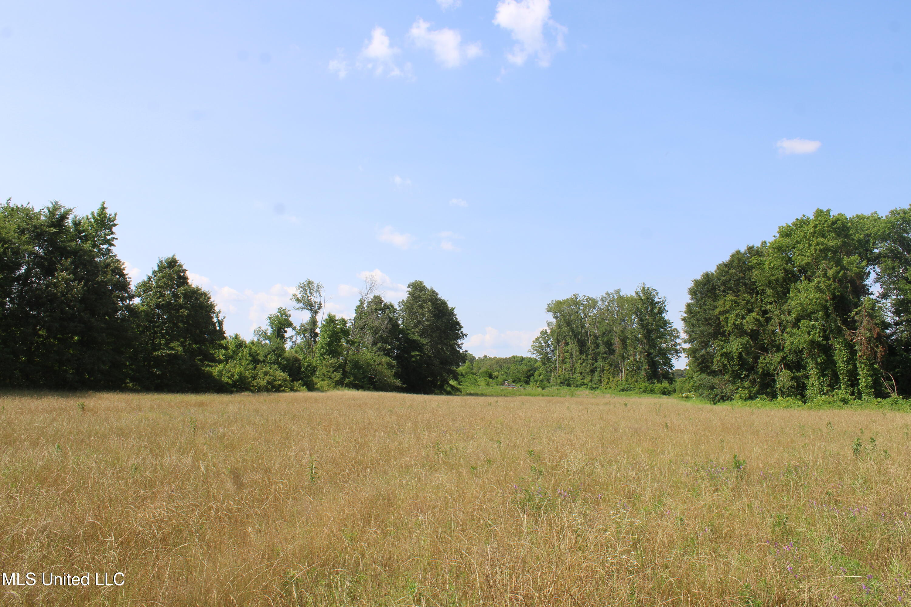 101 Baldwin Road Property Photo 23