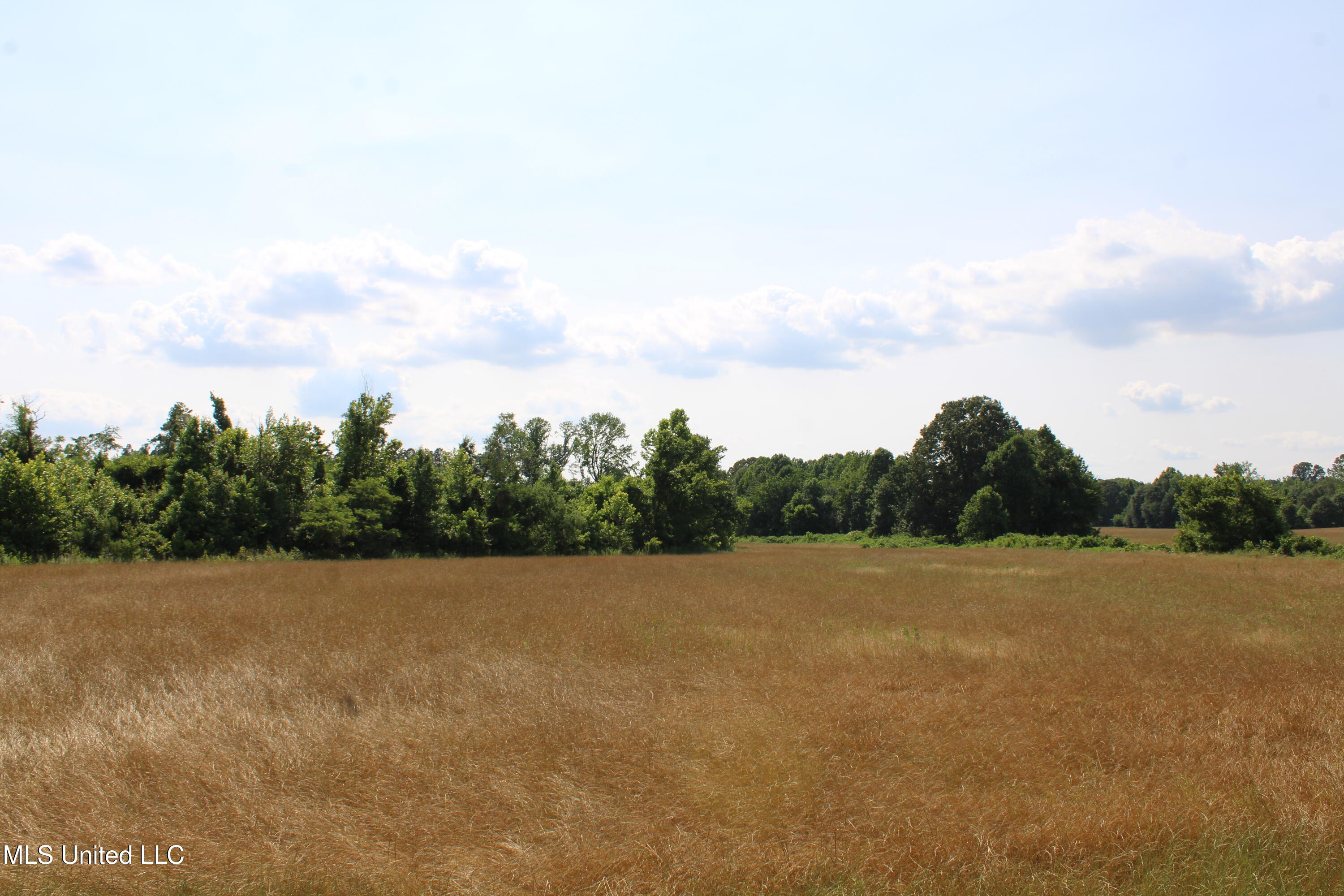 101 Baldwin Road Property Photo 25