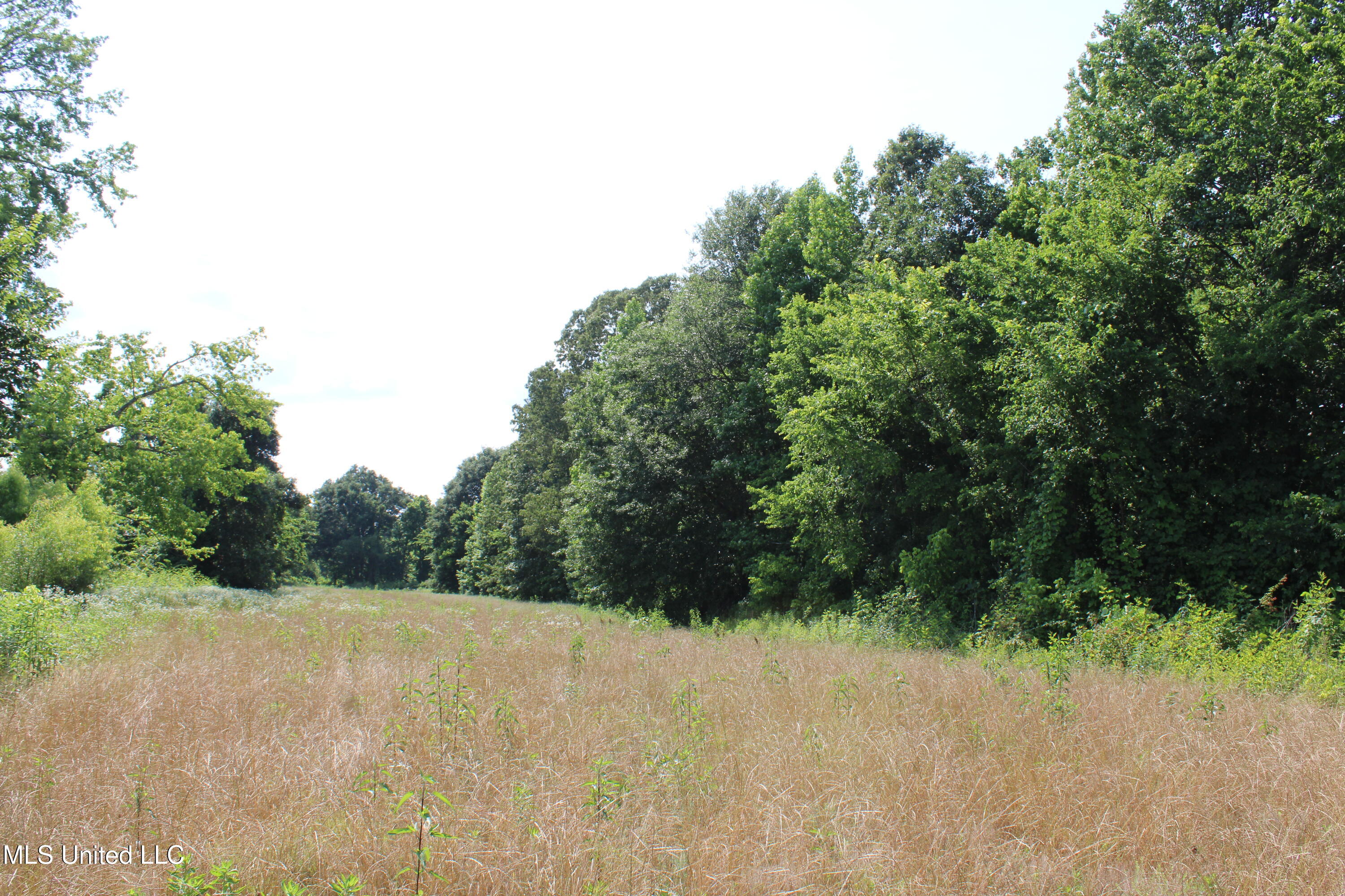101 Baldwin Road Property Photo 26