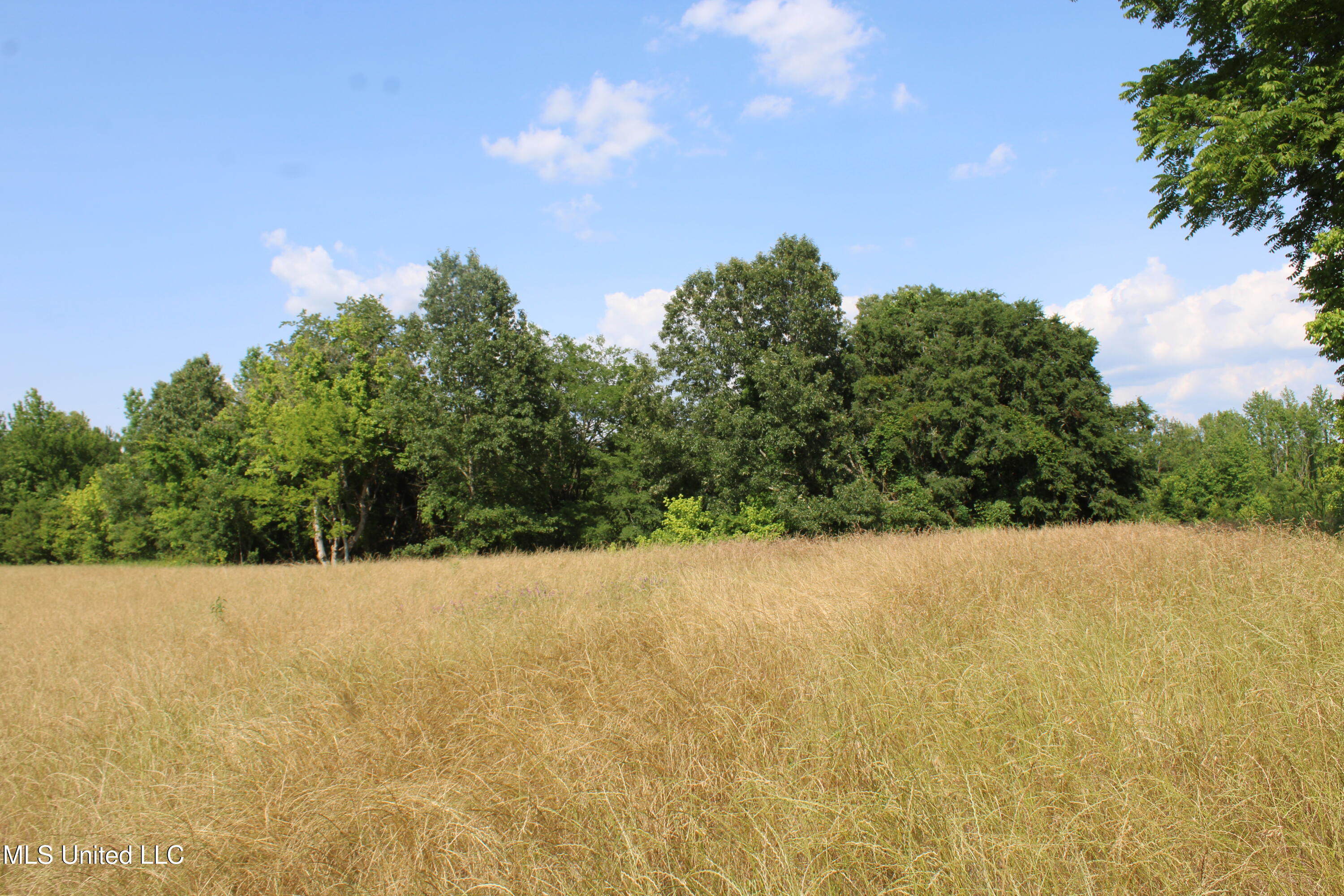 101 Baldwin Road Property Photo 29