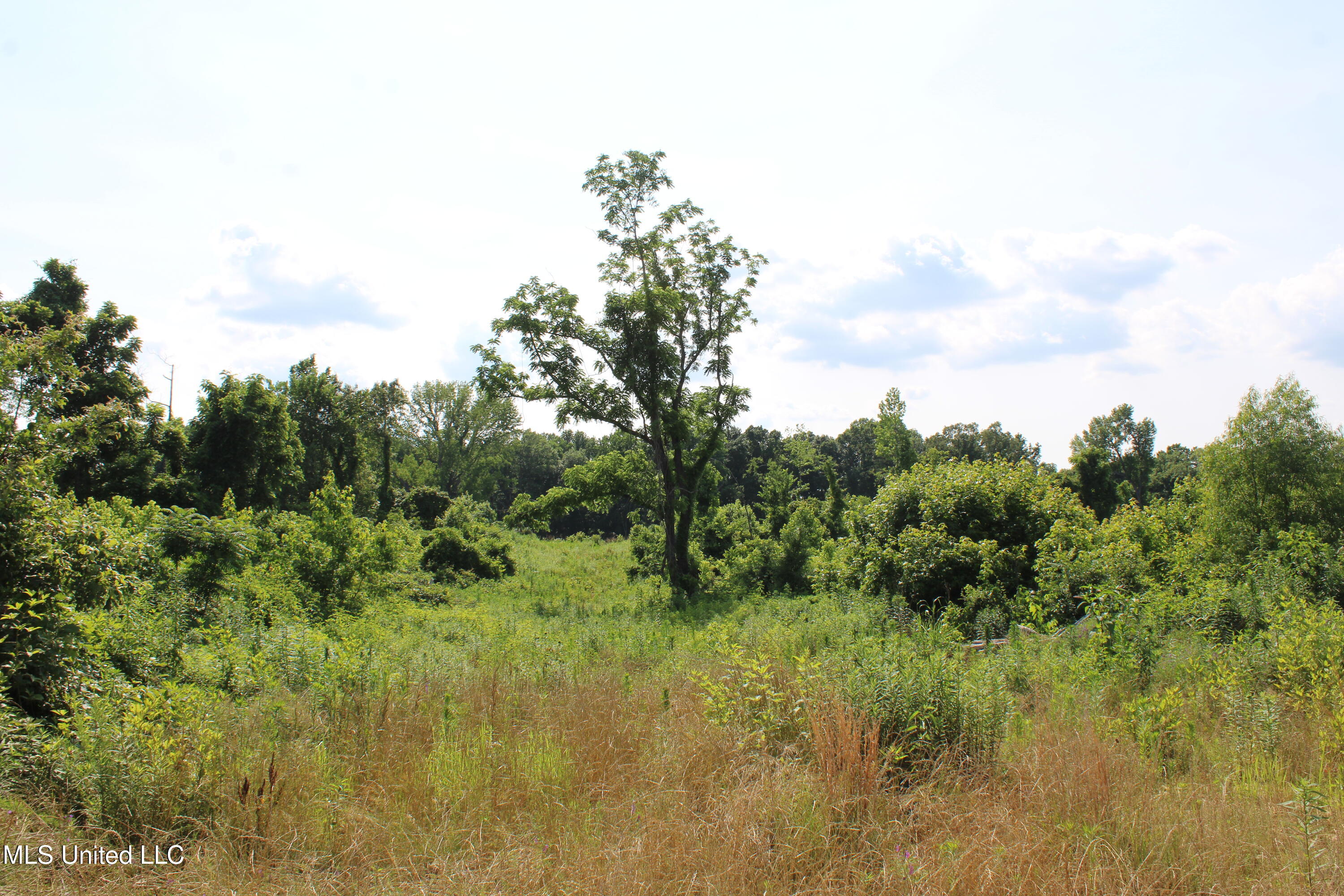 101 Baldwin Road Property Photo 31