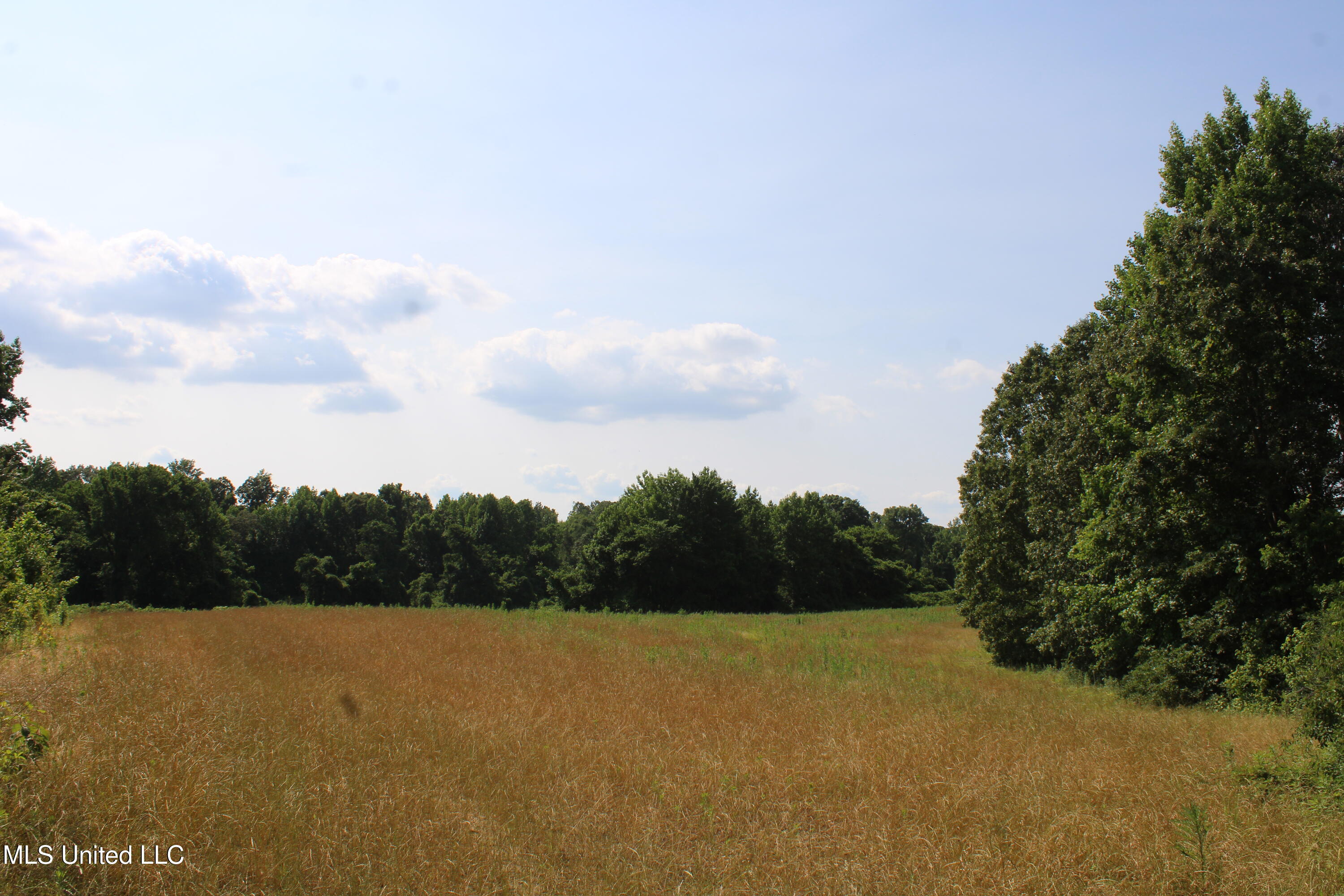 101 Baldwin Road Property Photo 34