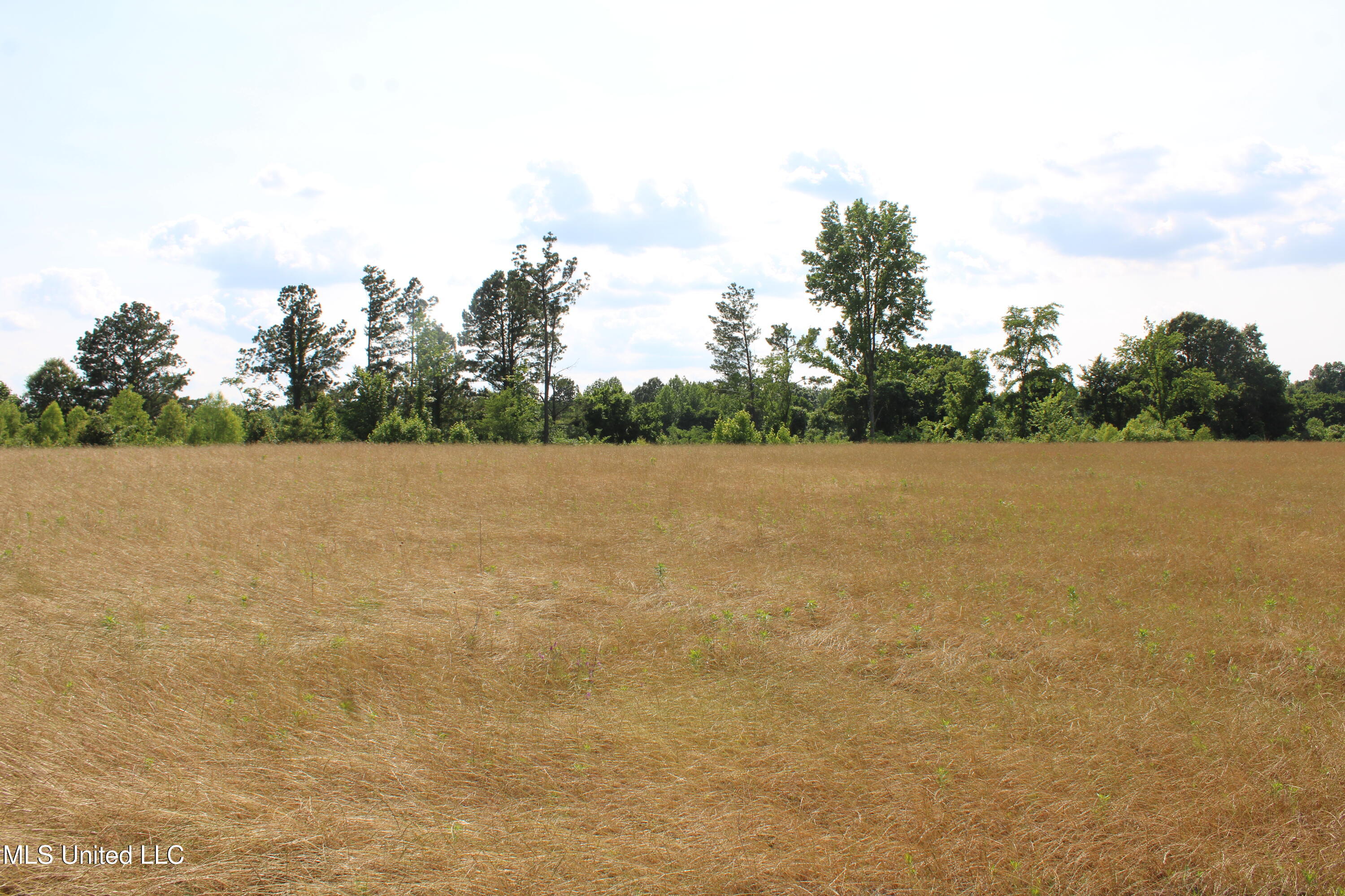 101 Baldwin Road Property Photo 40