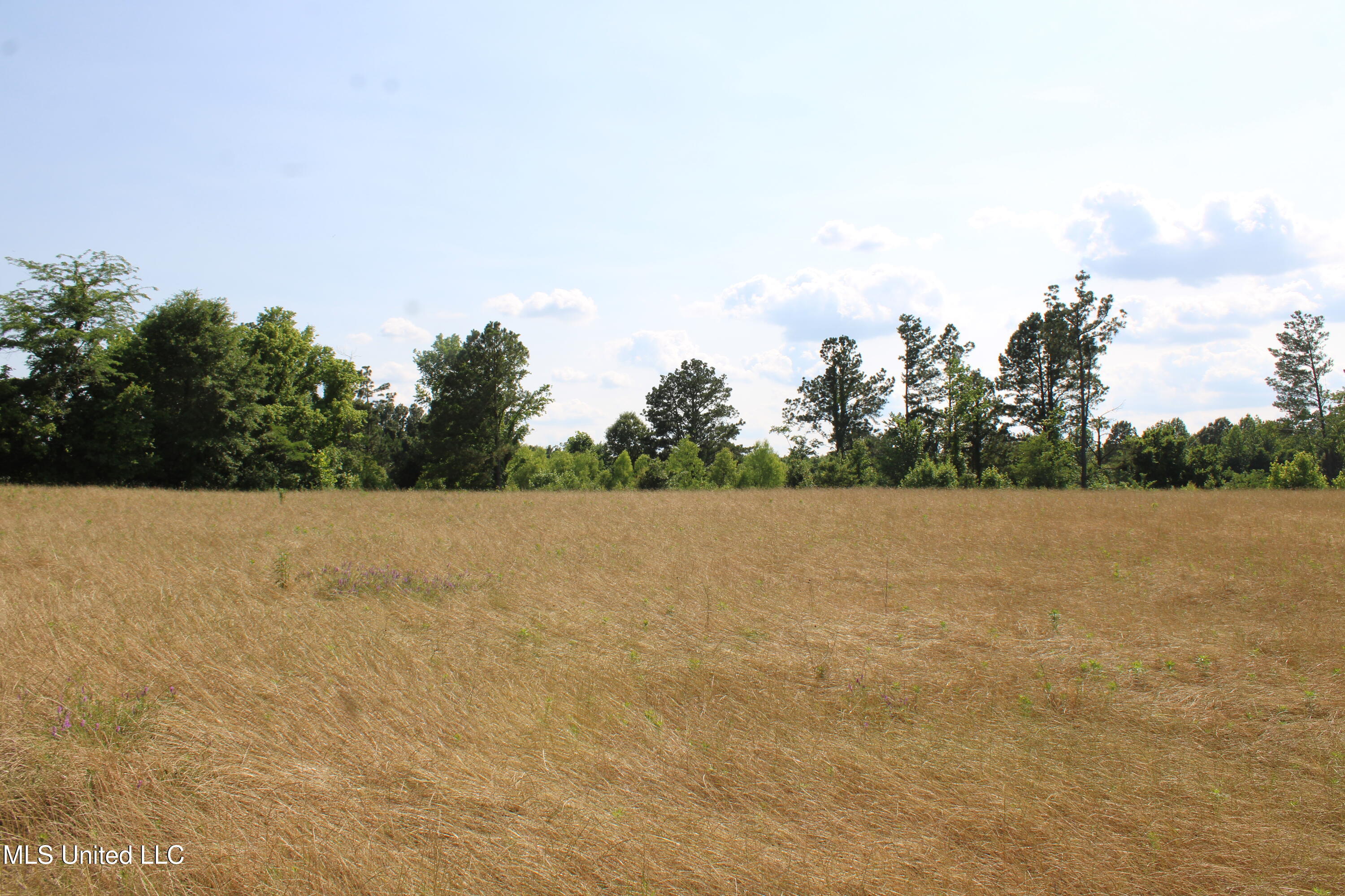 101 Baldwin Road Property Photo 41