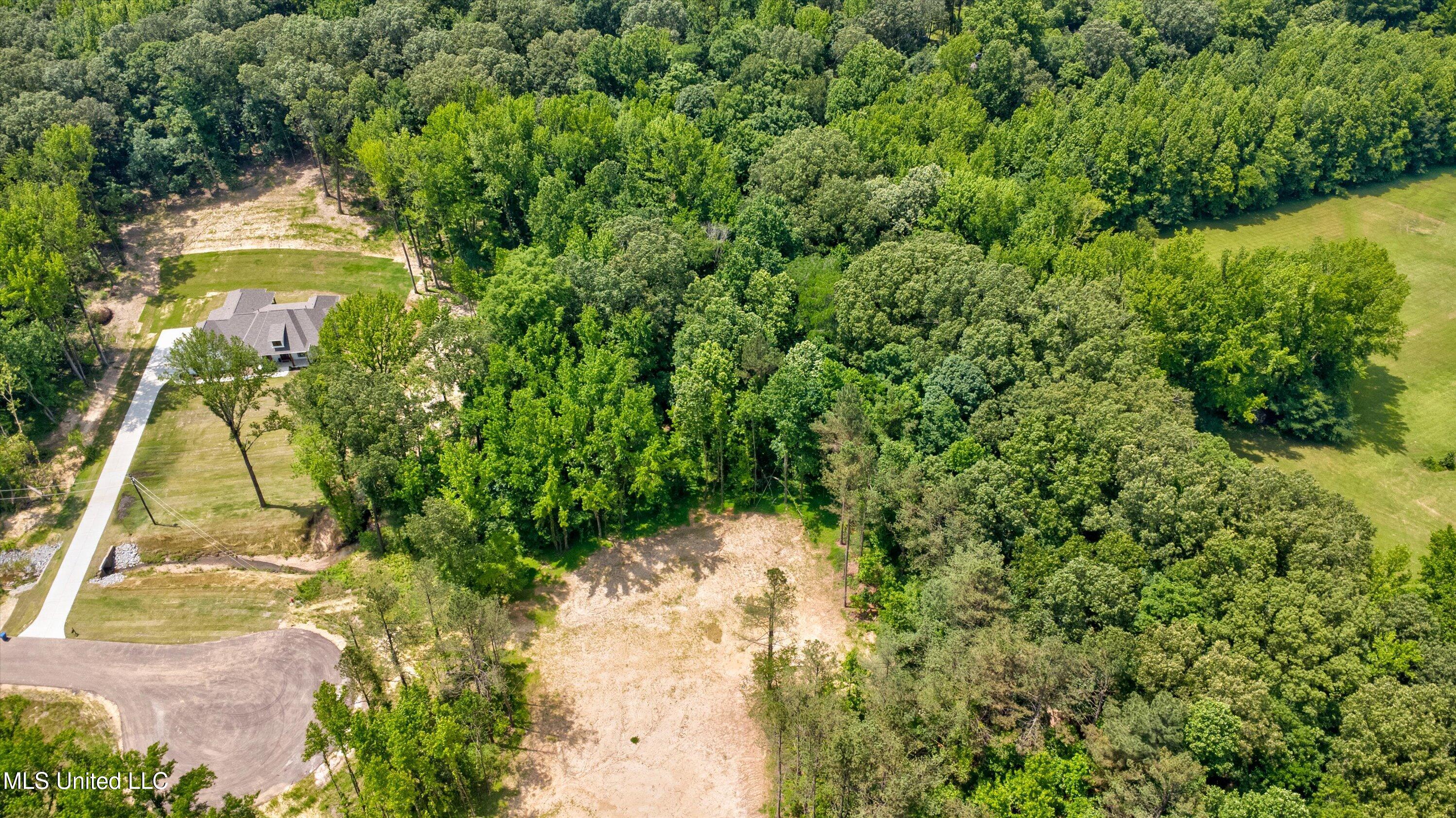 1561 Kimber Cove Property Photo 4