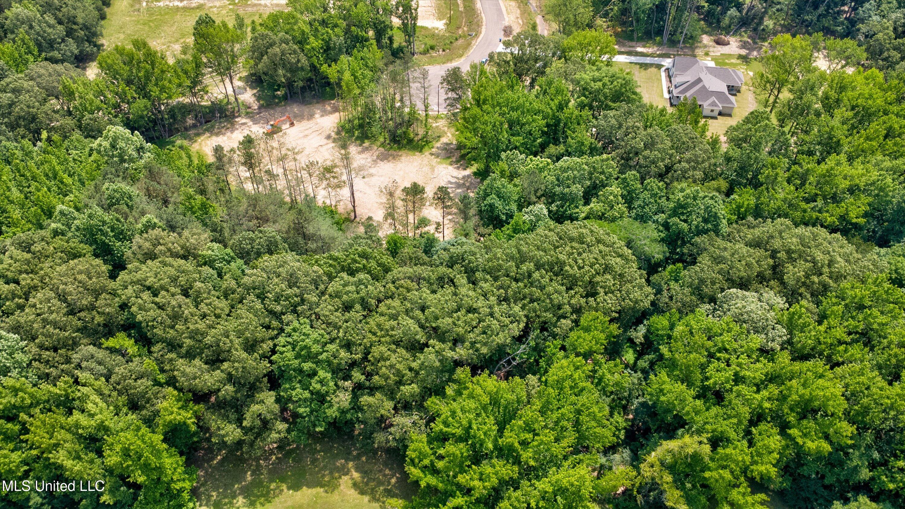 1561 Kimber Cove Property Photo 5