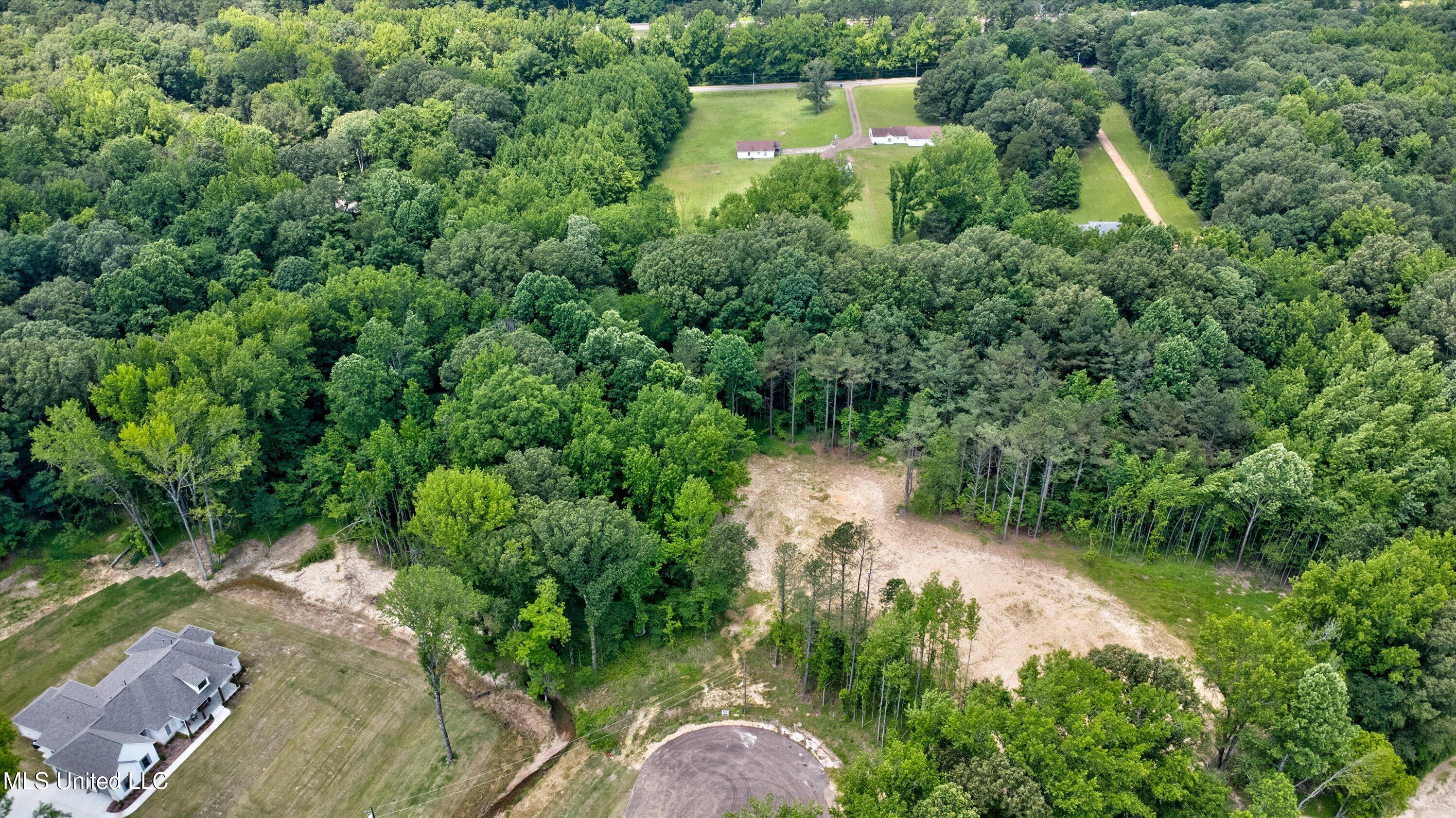 1561 Kimber Cove Property Photo 6