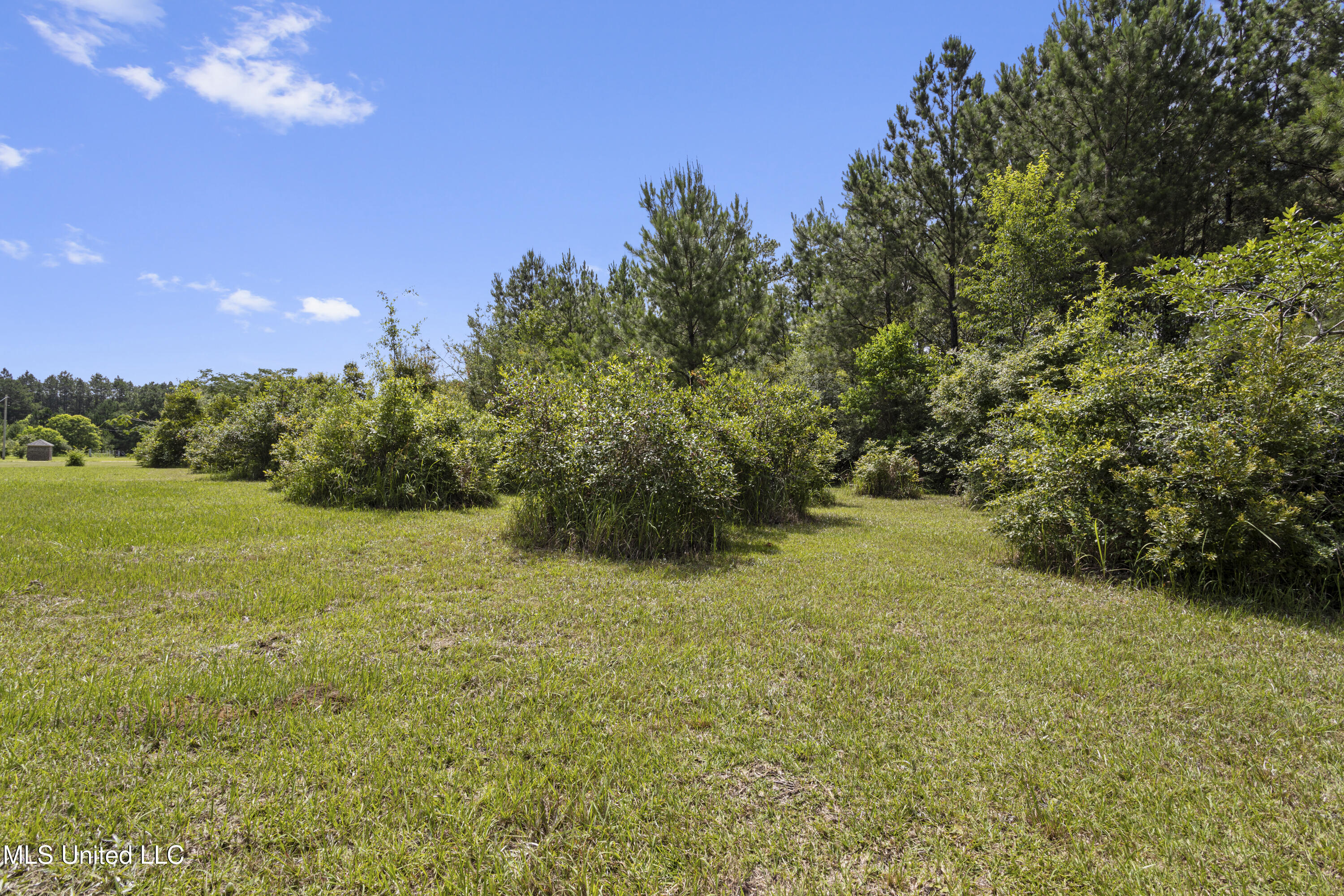 23601 Hinton Road Property Photo 22