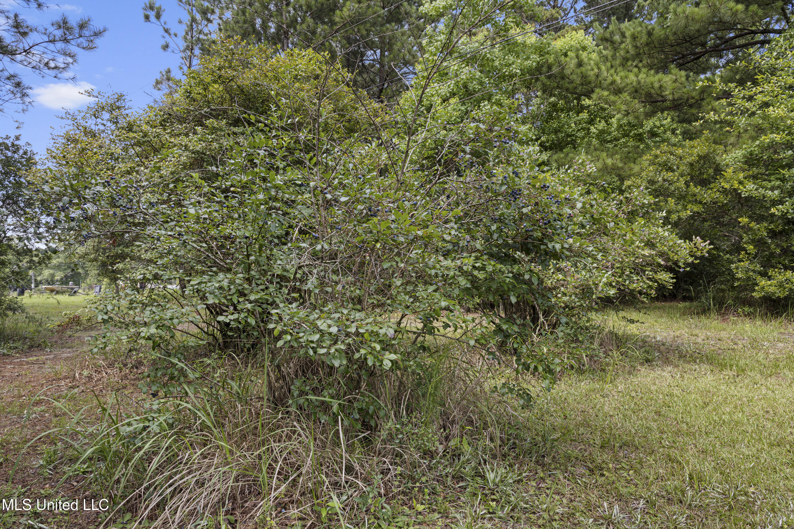 23601 Hinton Road Property Photo 23