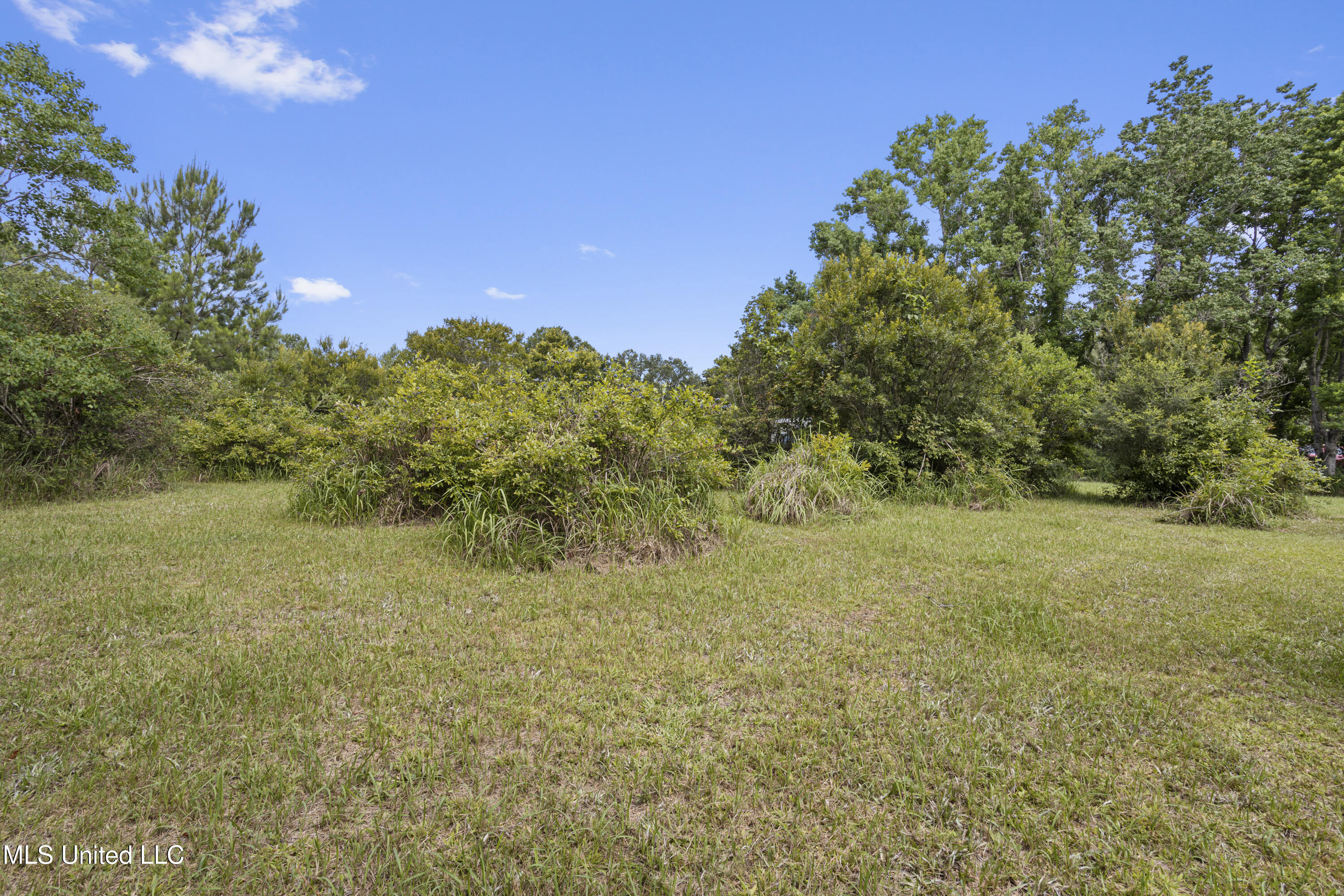 23601 Hinton Road Property Photo 24