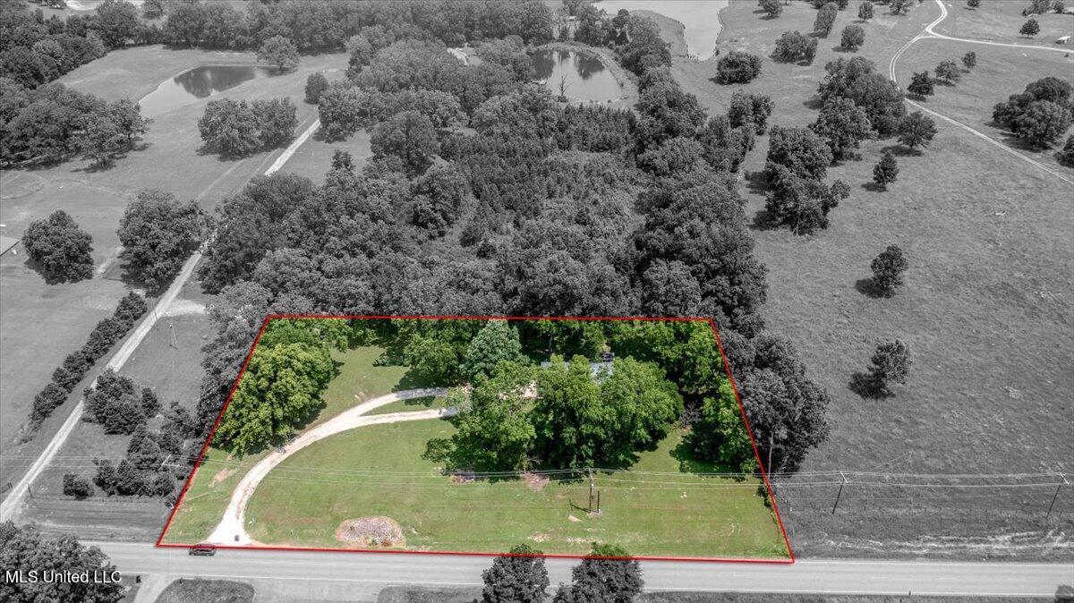 7485 Highway 4 Property Photo 1