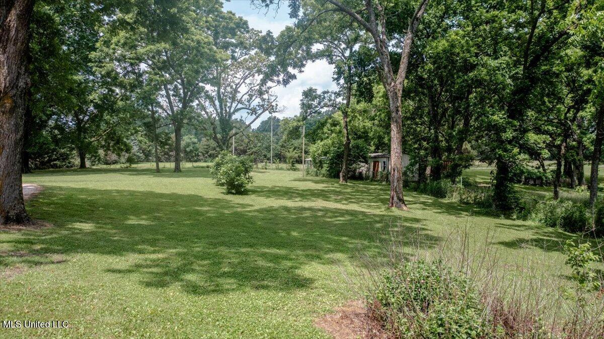 7485 Highway 4 Property Photo 31