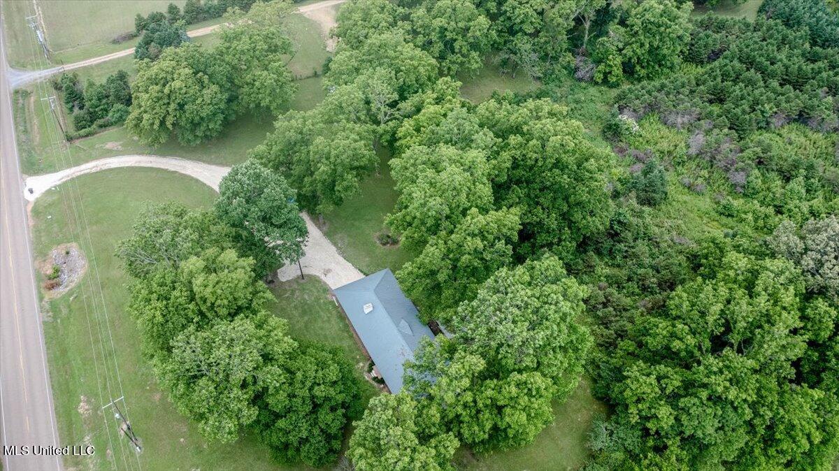 7485 Highway 4 Property Photo 33