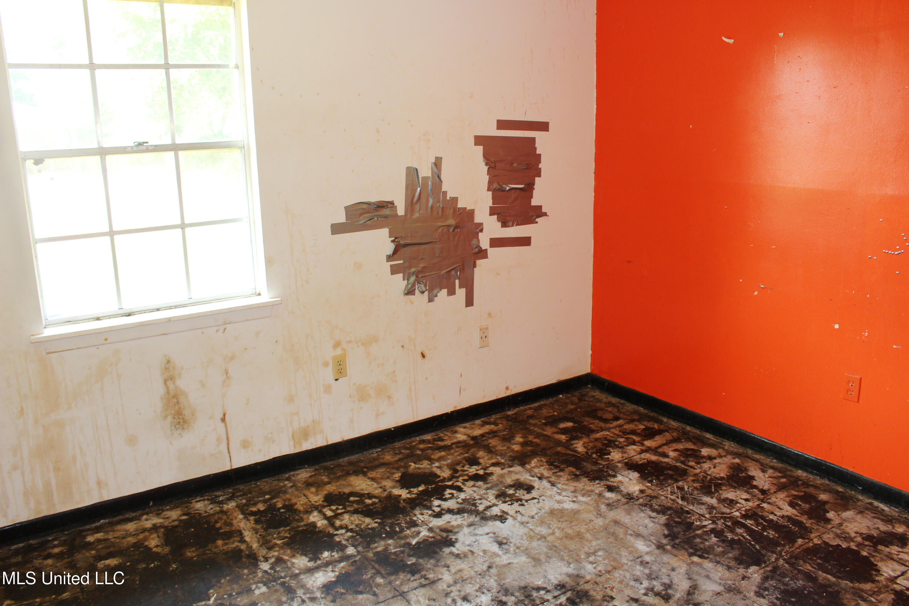 205 Shalimar Drive Property Photo 10