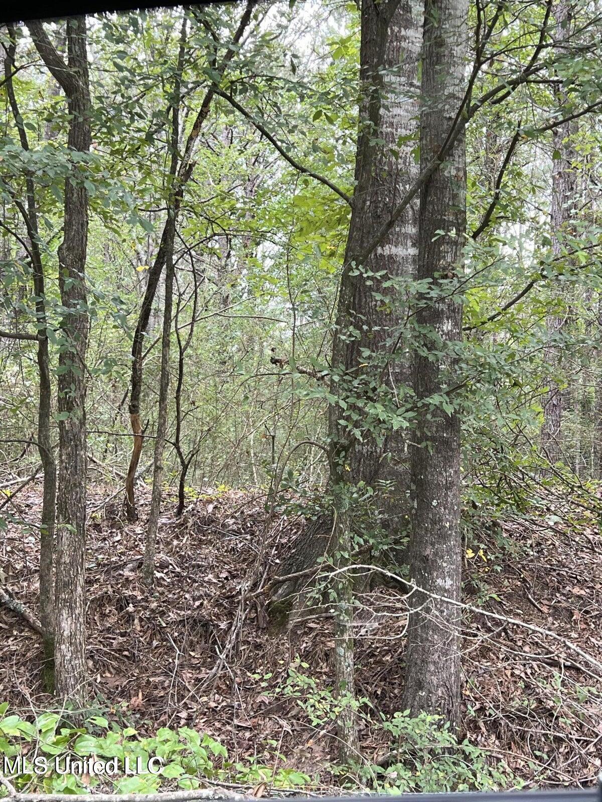 00 Dunn Road Property Photo 2