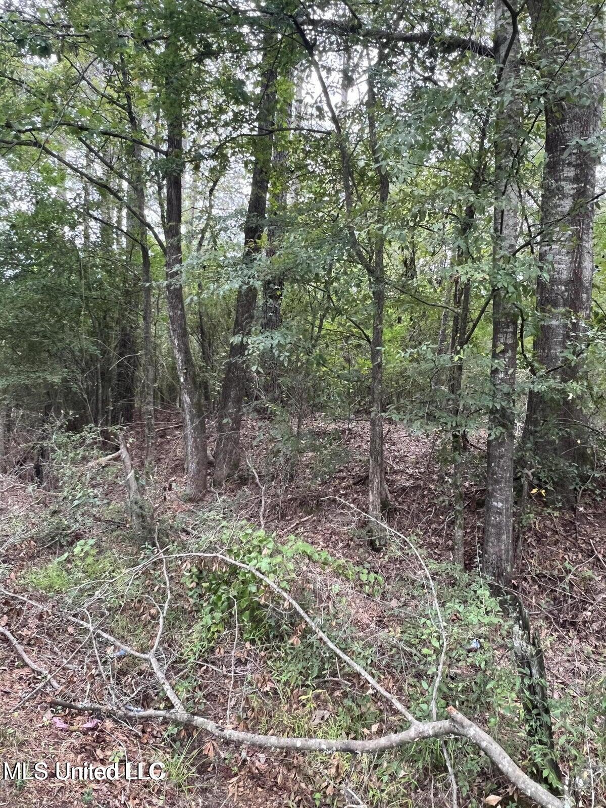 00 Dunn Road Property Photo 3