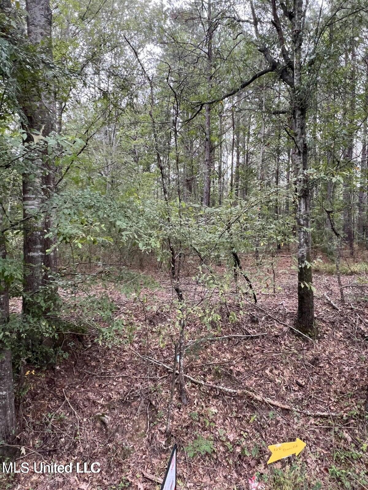 00 Dunn Road Property Photo 4